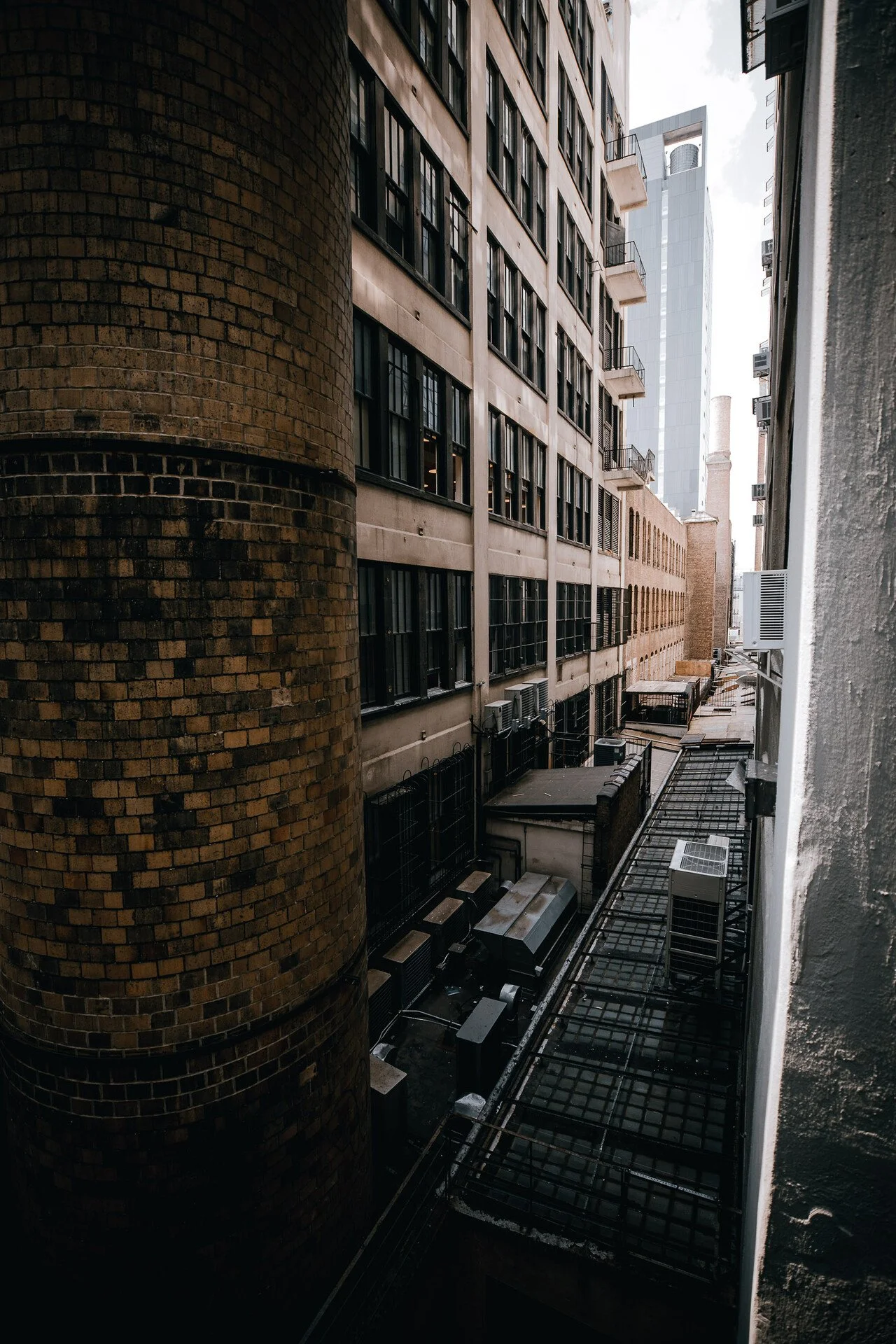 HIGH LINE - NYC 15.JPEG