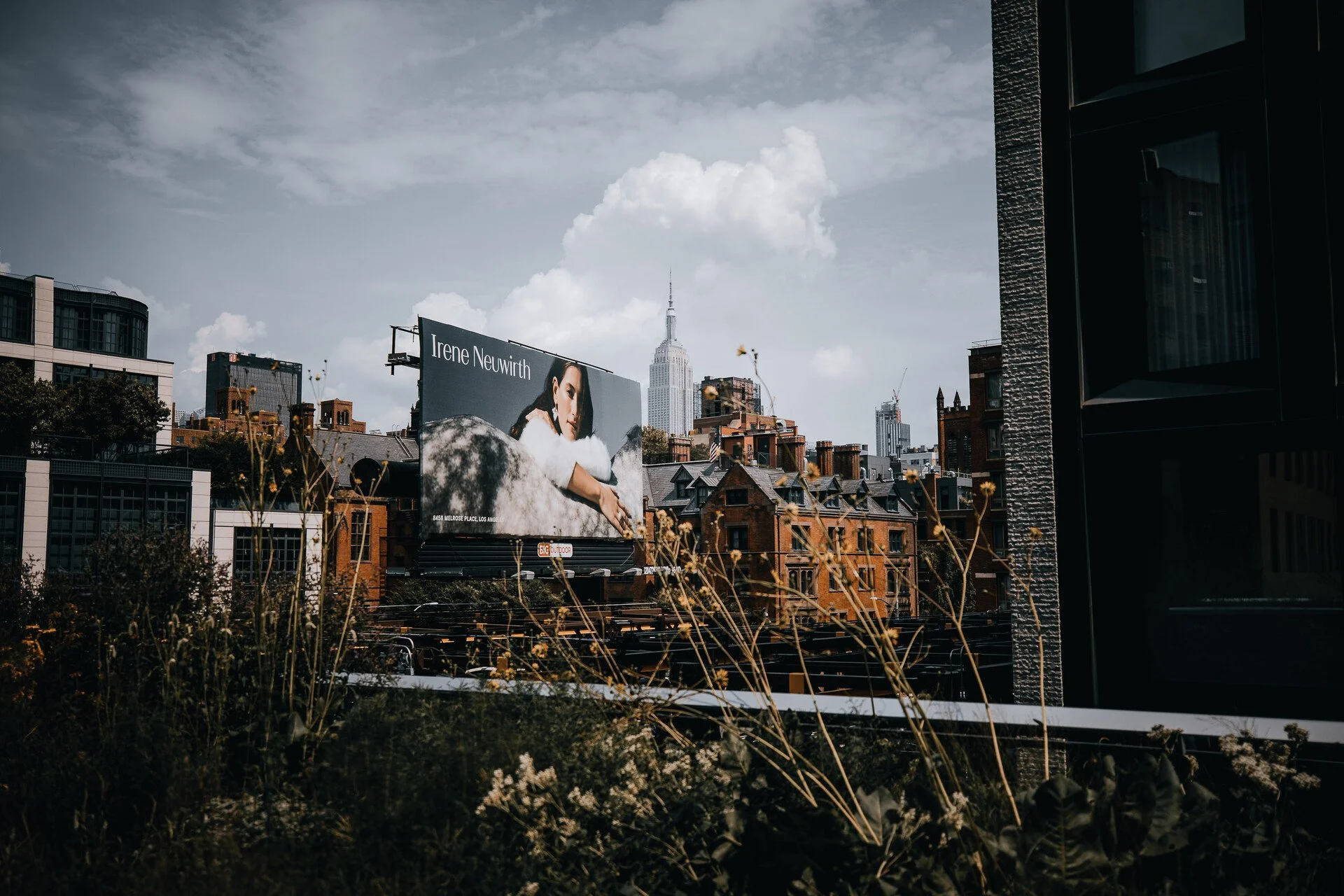 HIGH LINE - NYC 24.JPEG