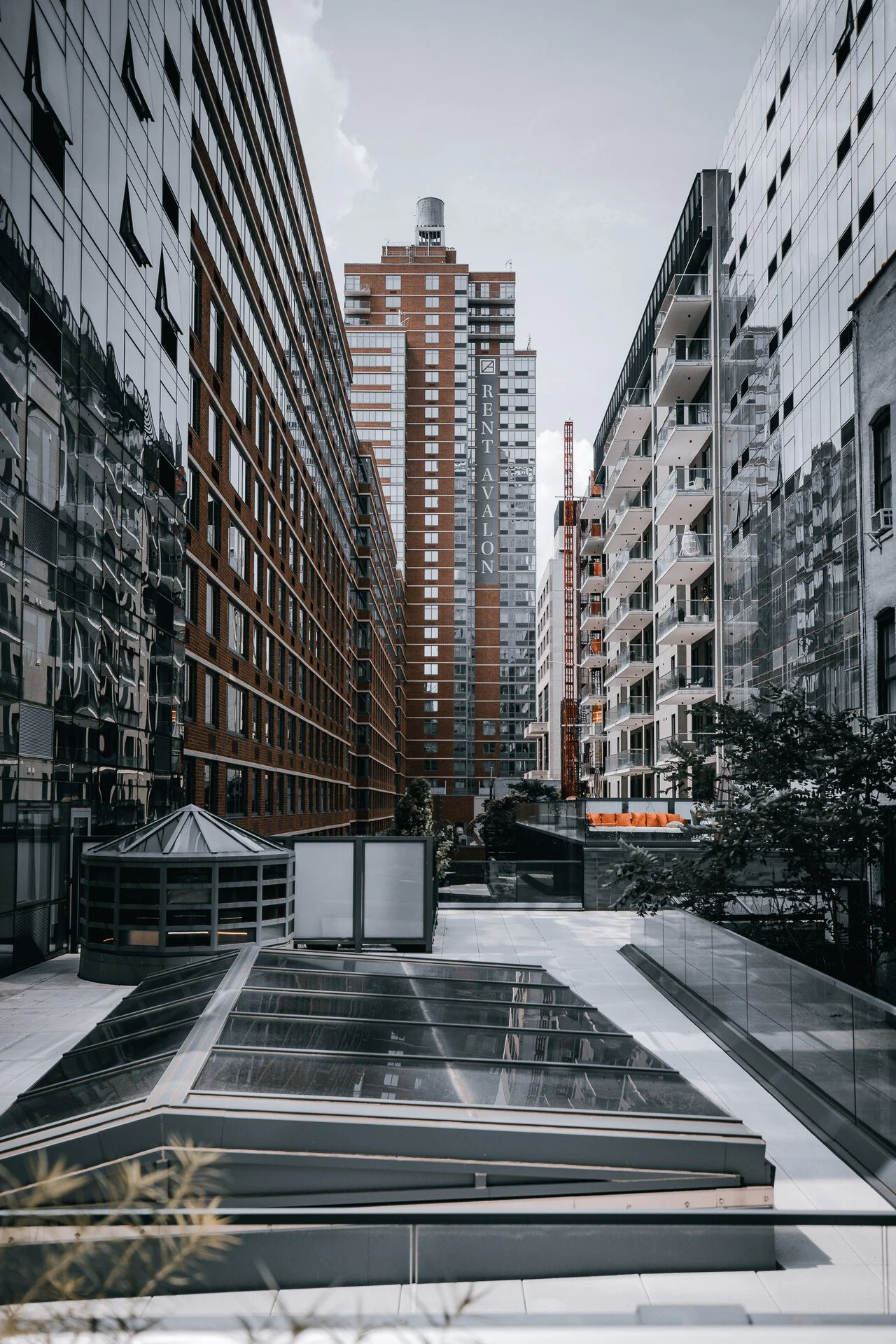 HIGH LINE - NYC 6.JPEG