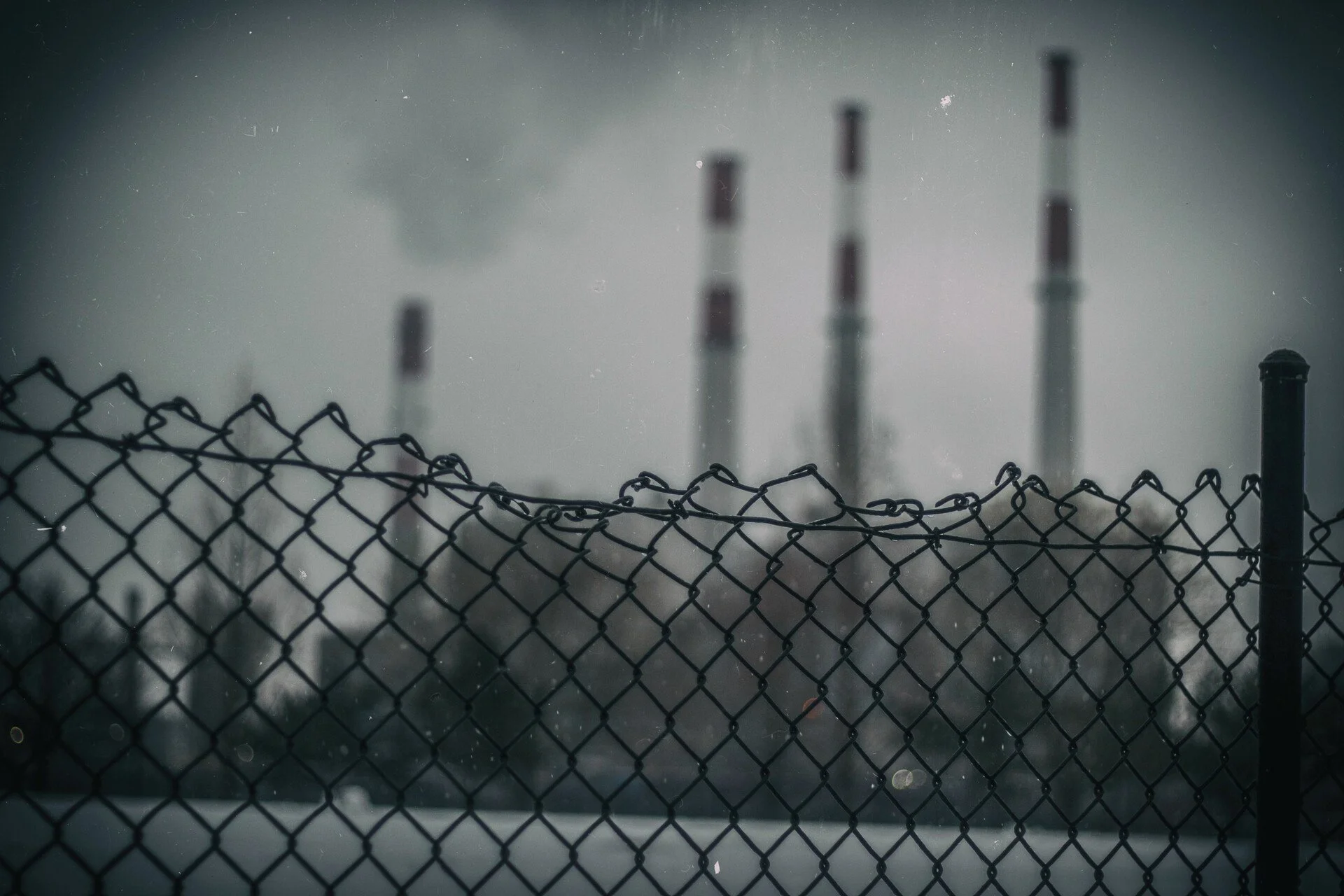 ROOSEVELT ISLAND - NYC 37.JPEG