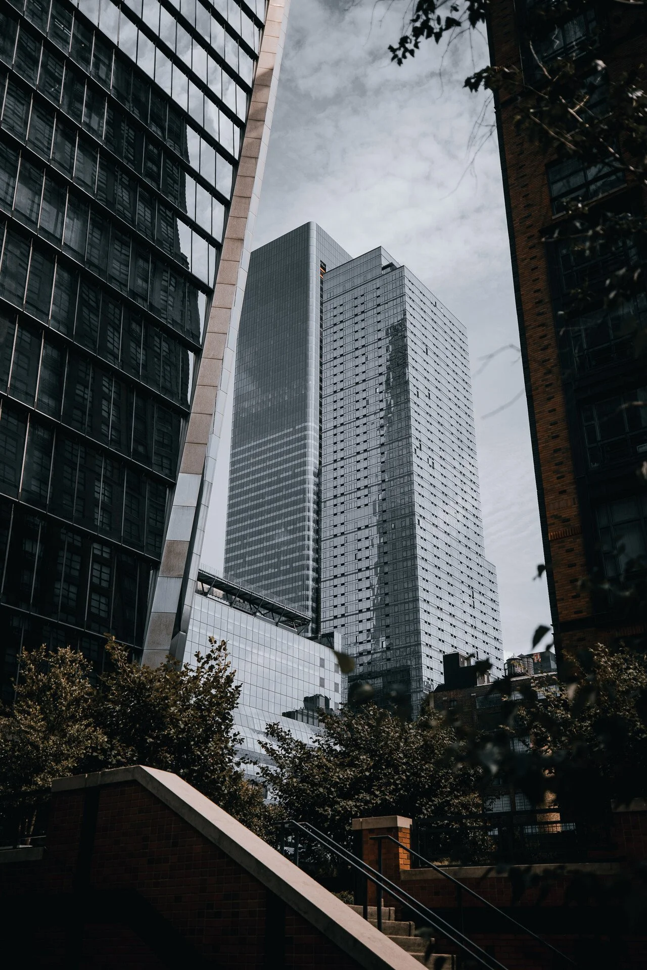 HIGH LINE - NYC 4.JPEG