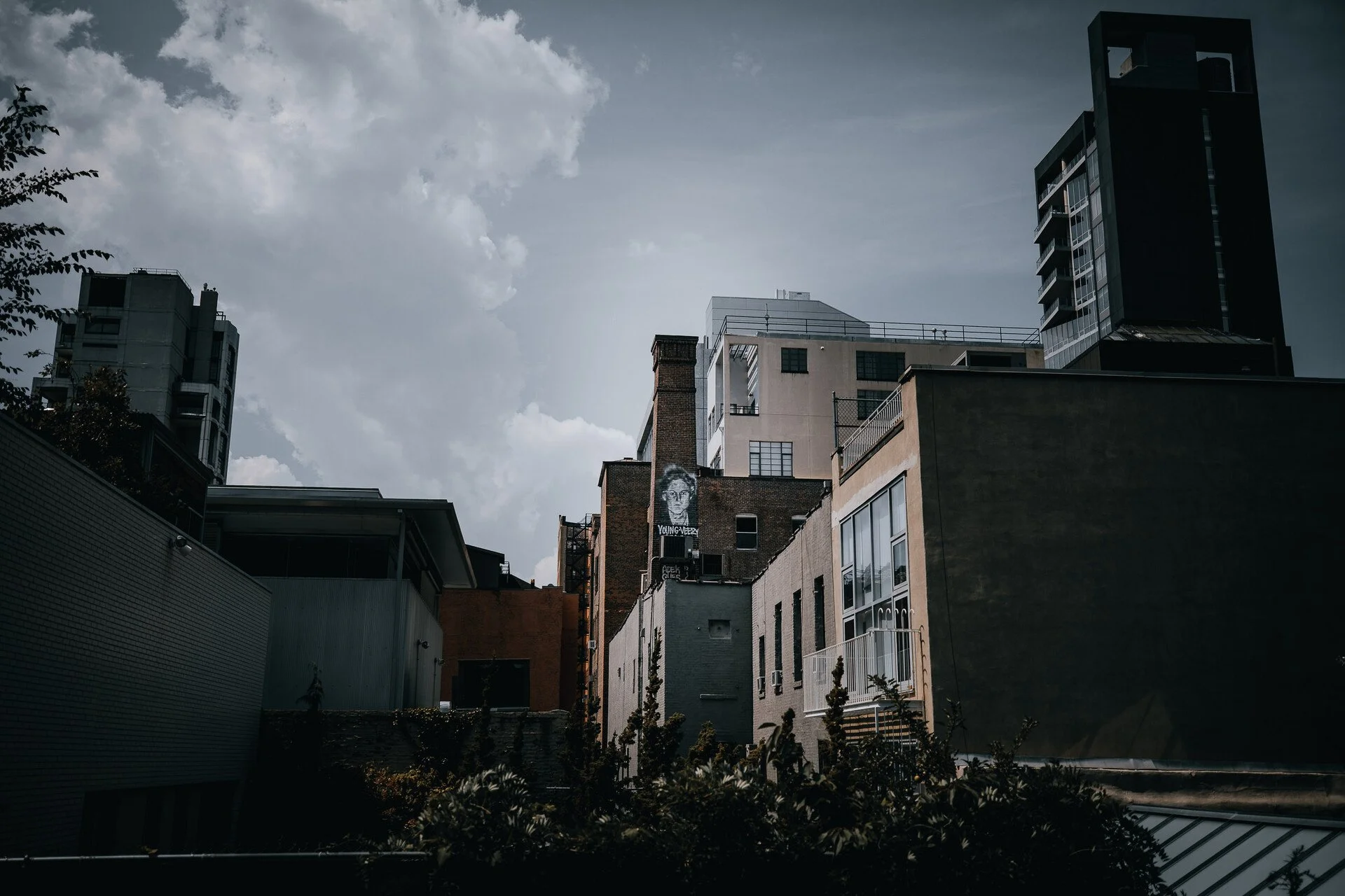 HIGH LINE - NYC 17.JPEG