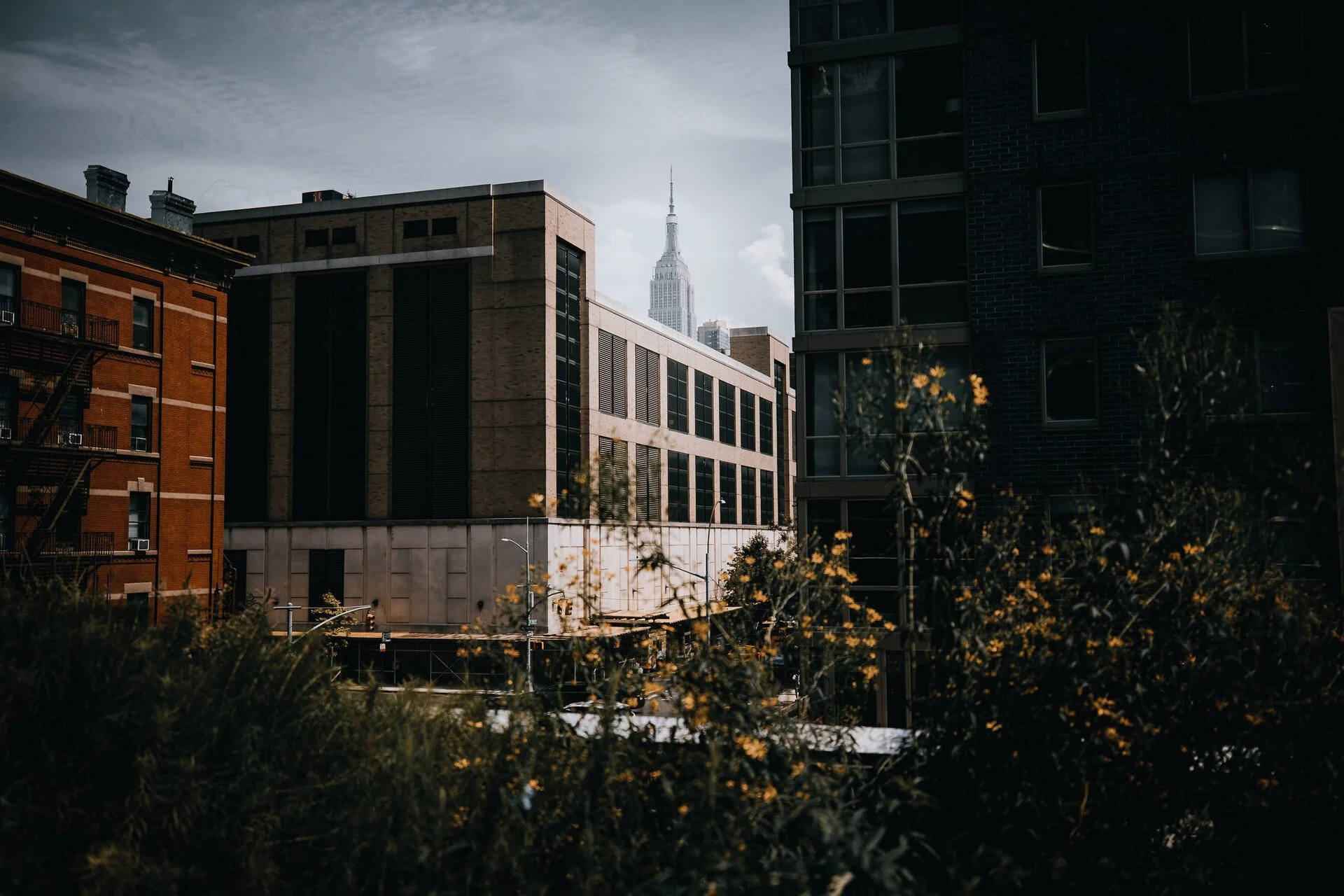 HIGH LINE - NYC 8.JPEG