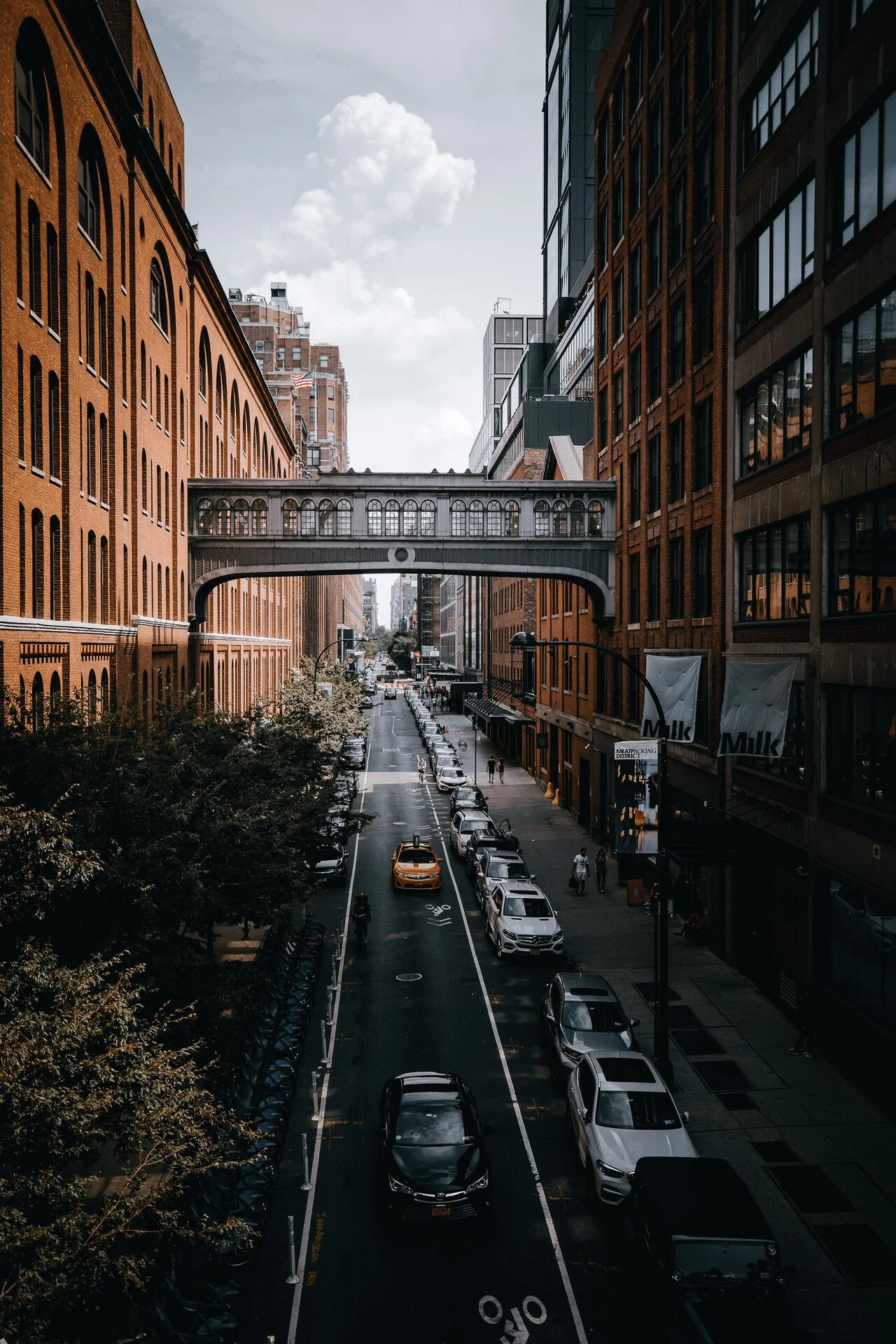 HIGH LINE - NYC 33.JPEG