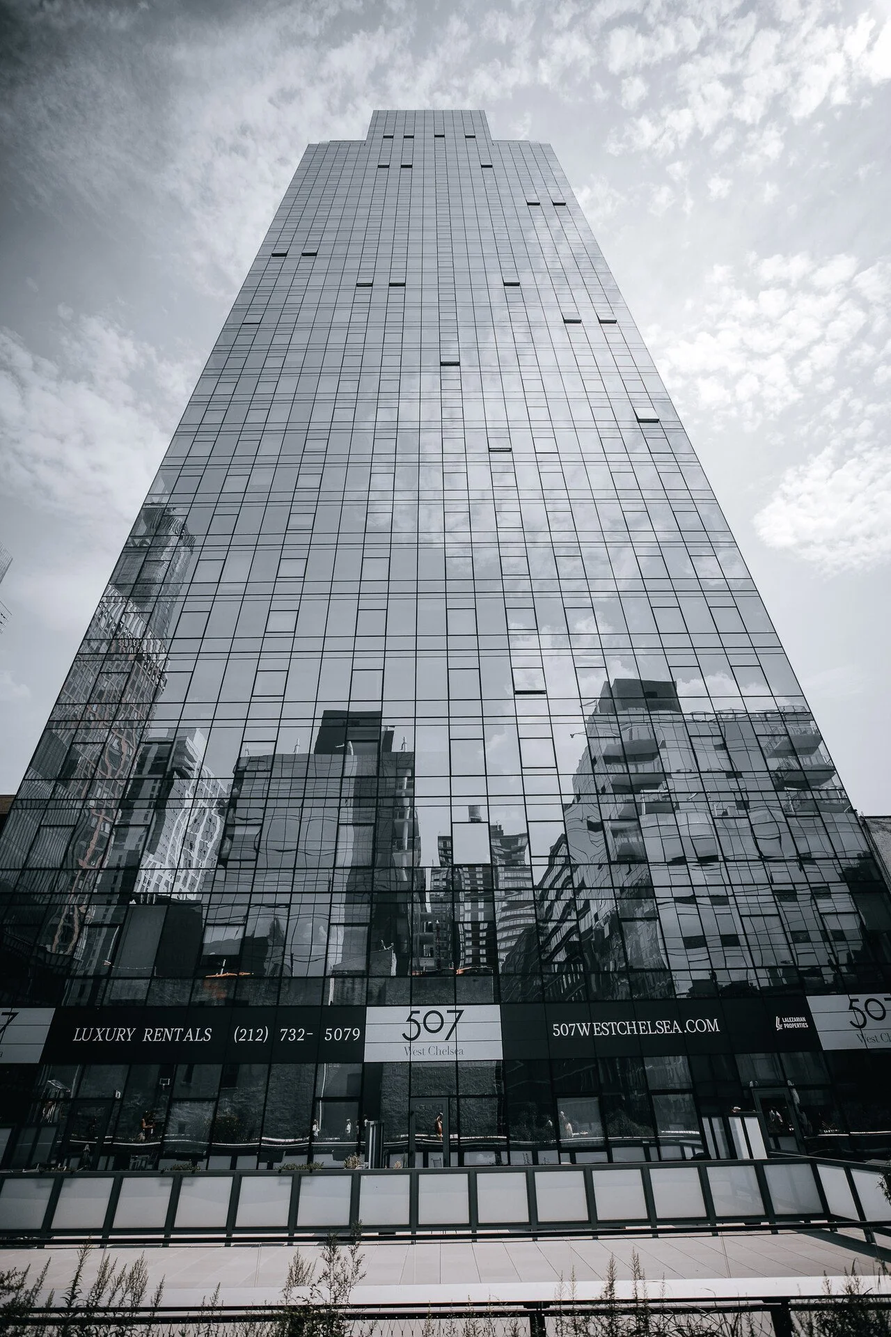 HIGH LINE - NYC 5.JPEG