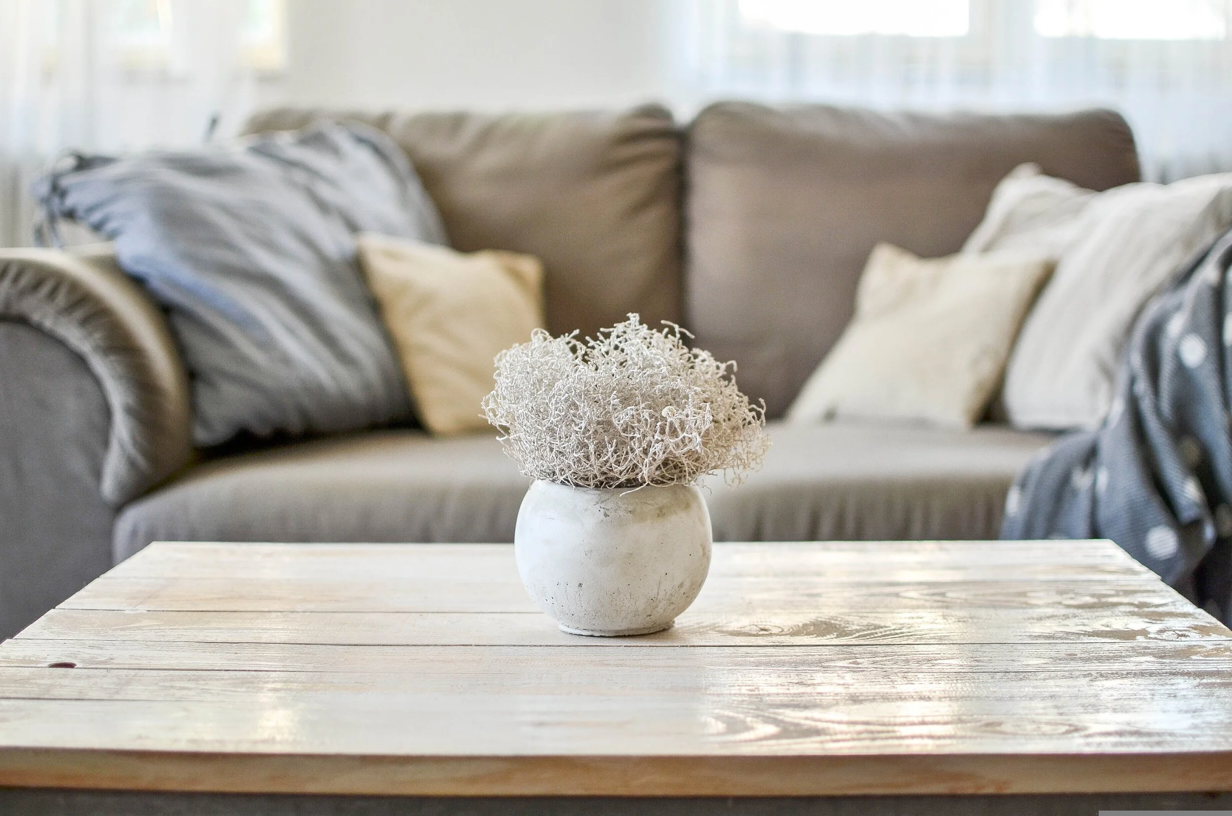 A white decorative vase with dried moss on a wooden table, sofa with pillows in the background.