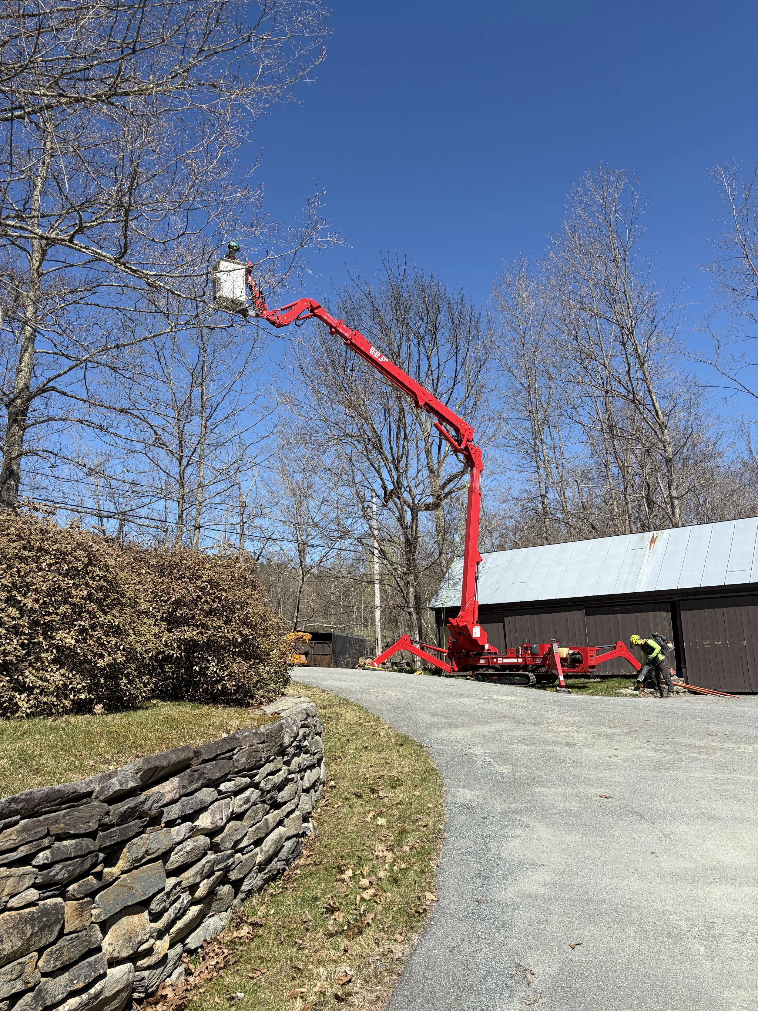 Tree Care.JPG