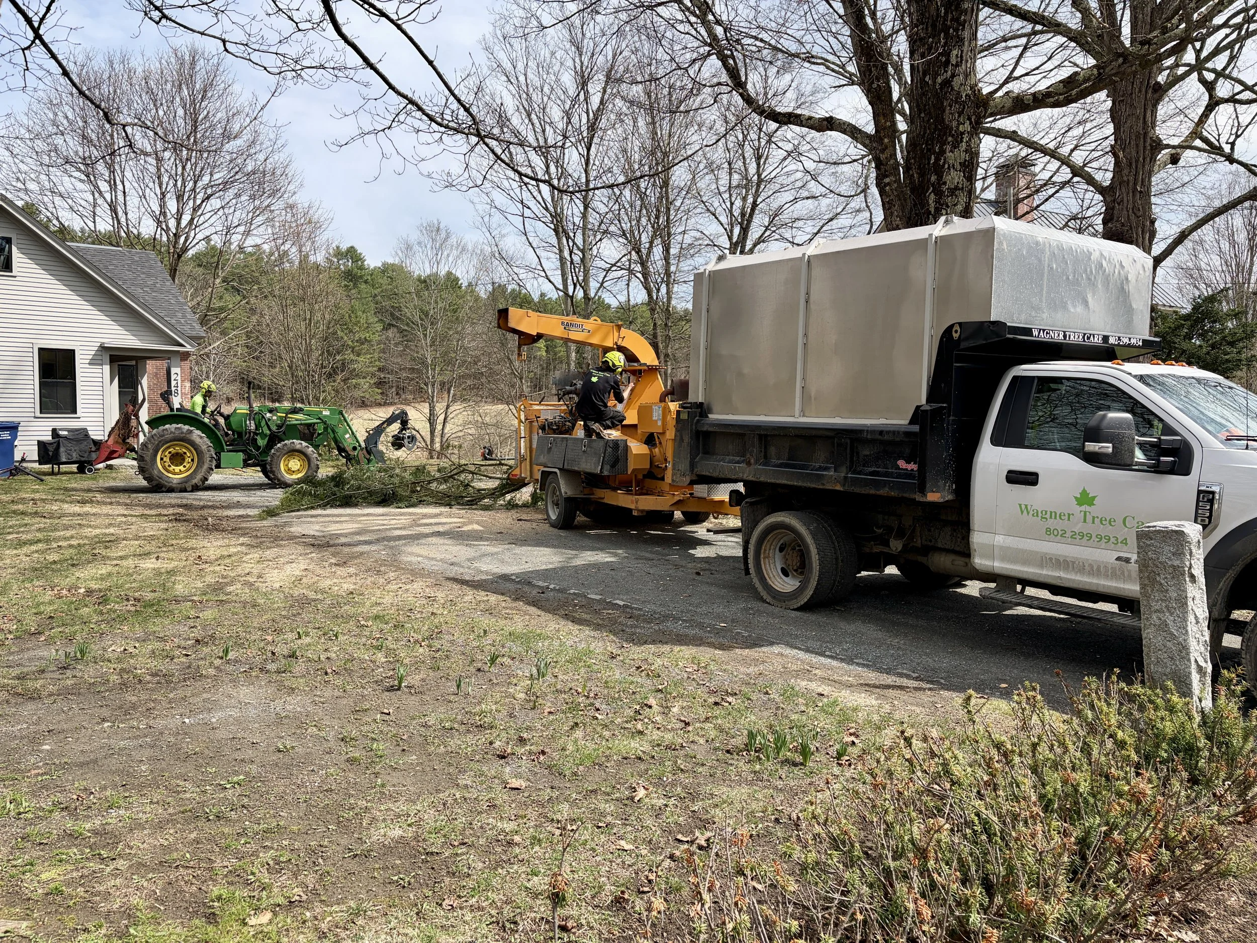 Wagner Tree Care Removal and Clean Up (2).jpg