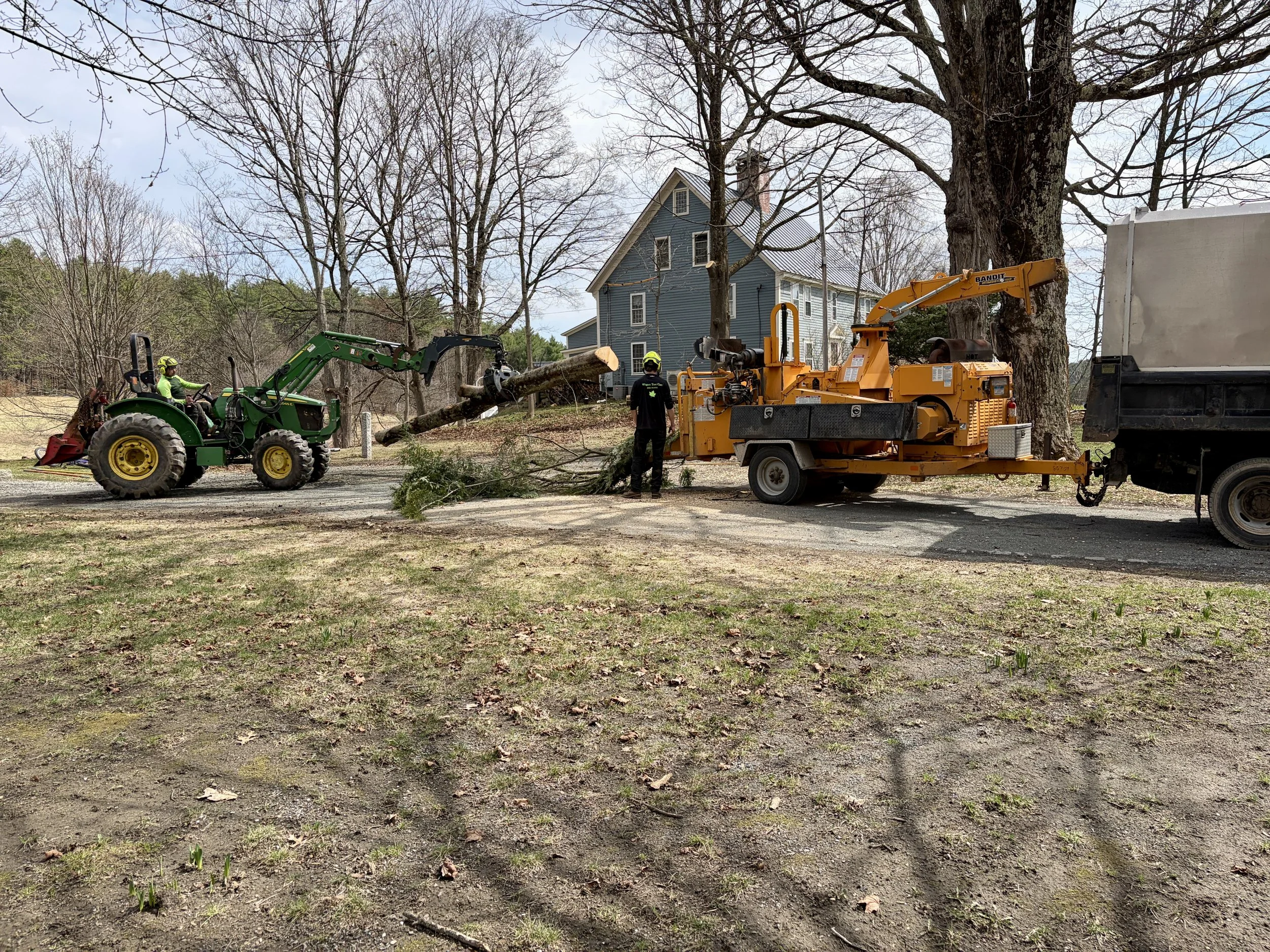 Wagner Tree Care Removal and Clean Up.jpg