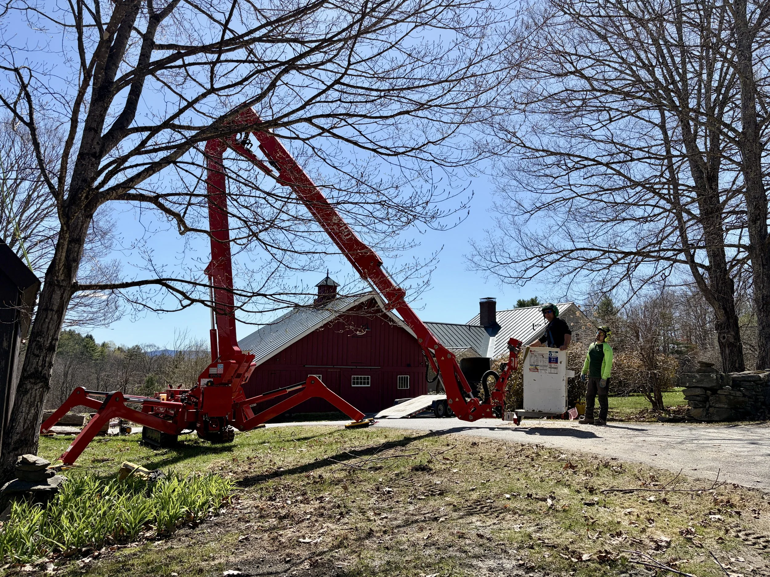 Wagner Tree Care.jpg