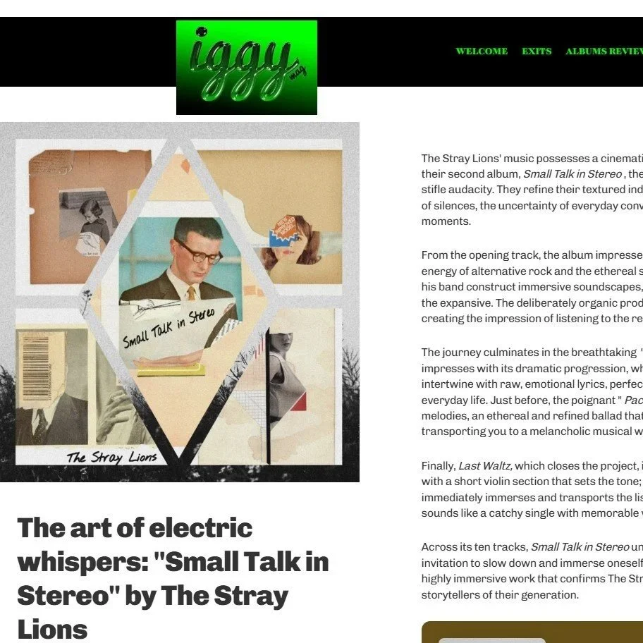 The Stray Lions - The Art of Electric Whispers | IGGY Magazine