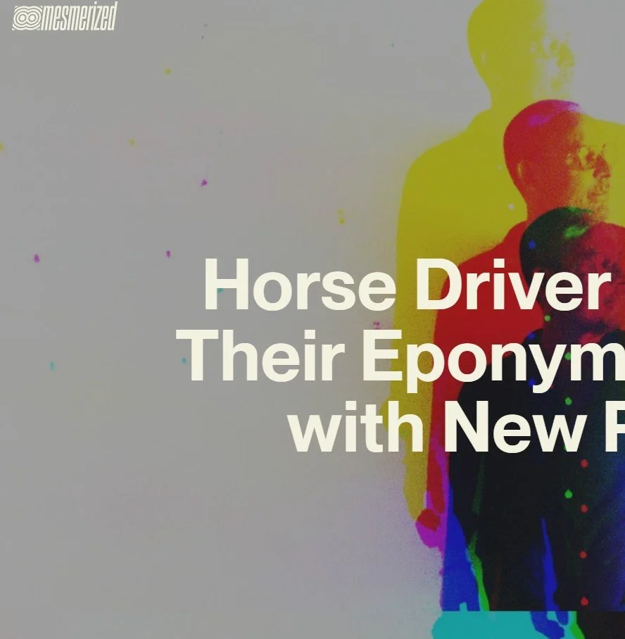 Mesmerized Celebrates Horse Driver