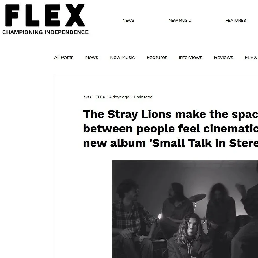FLEX Reviews The Stray Lions