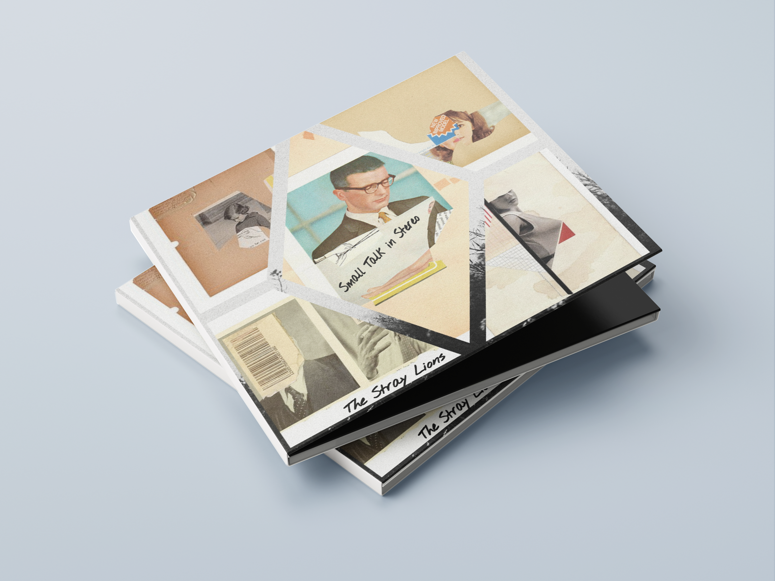Stray Lions Digipak mocku[.png