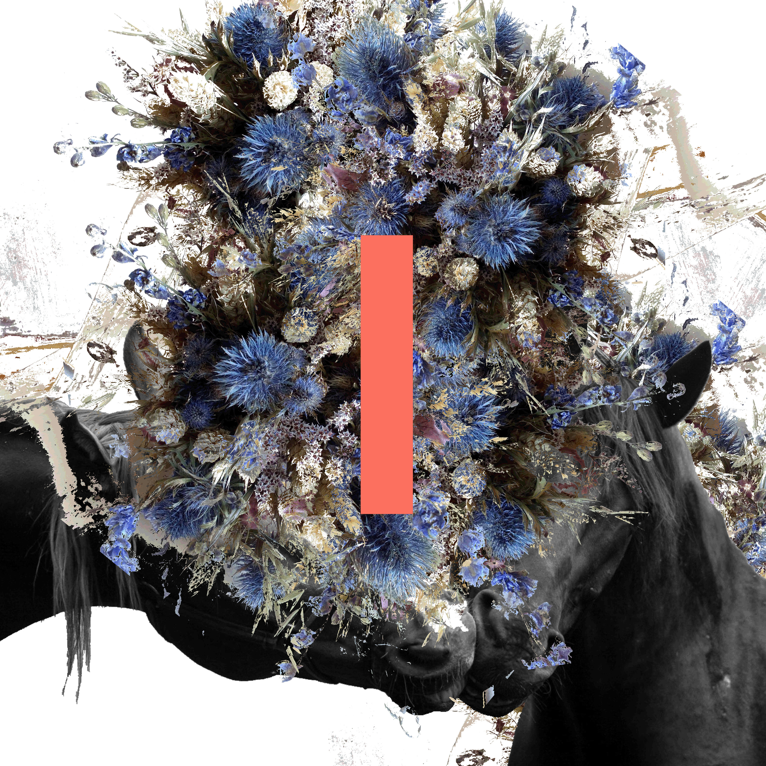 Horse Driver album cover