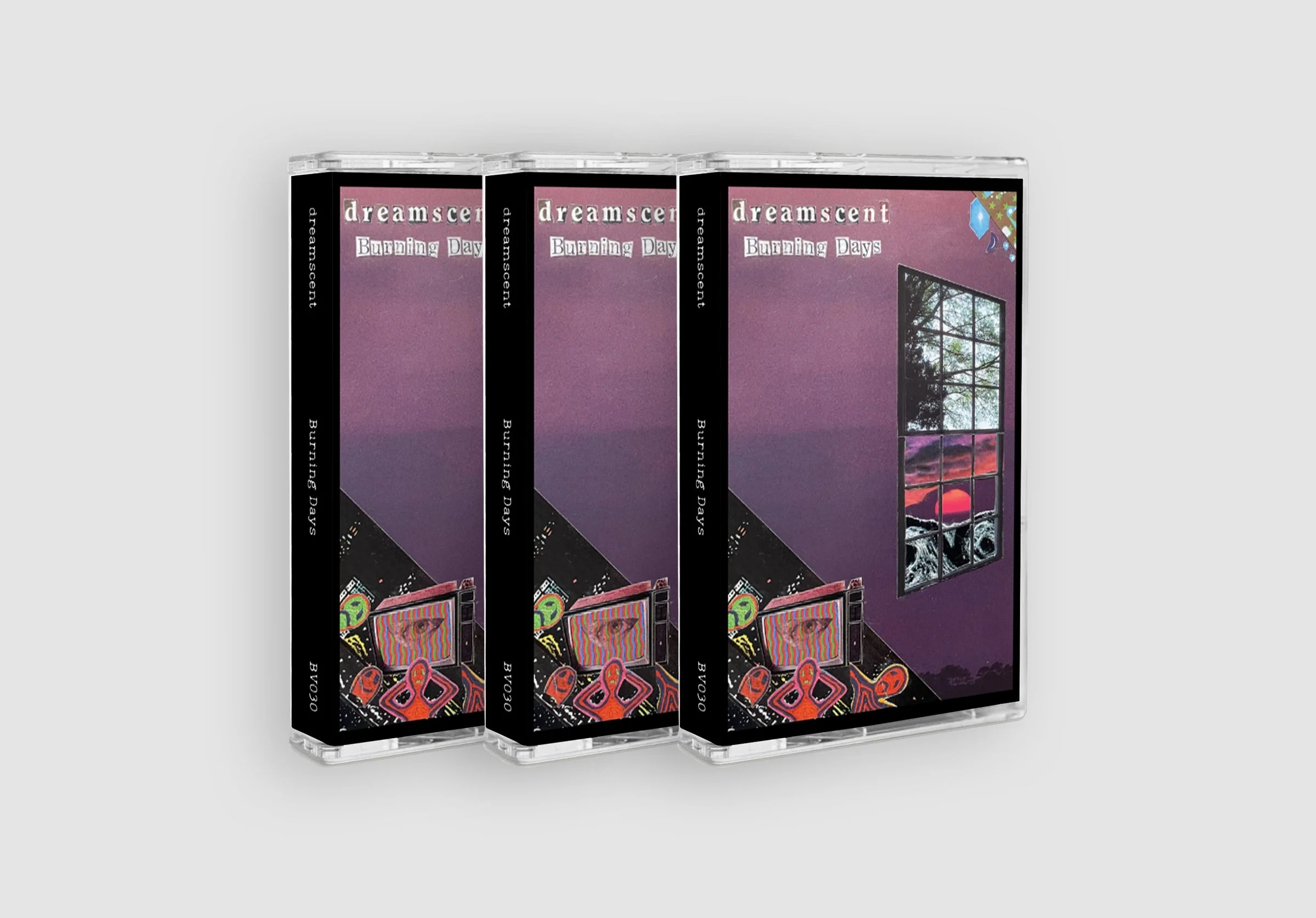 dreamscent cassette mockup.jpg