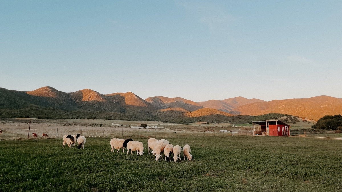 Ywam Ranch Our Partners — YWAM Rancho Abierto