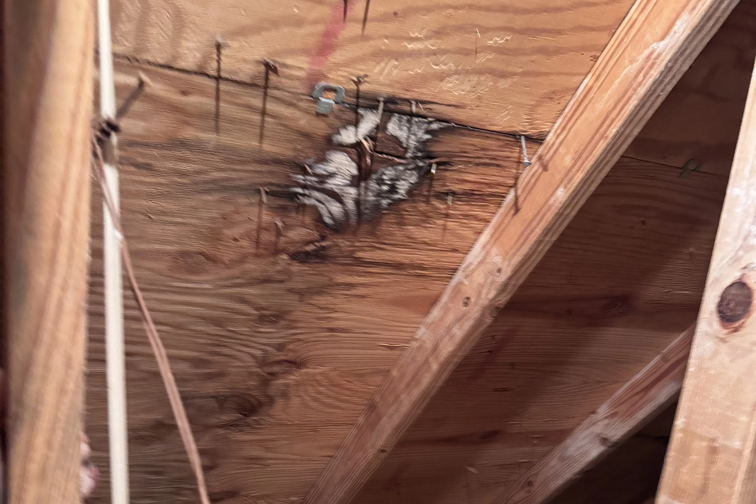 Tile roof leak diagnosis in Orlando Florida