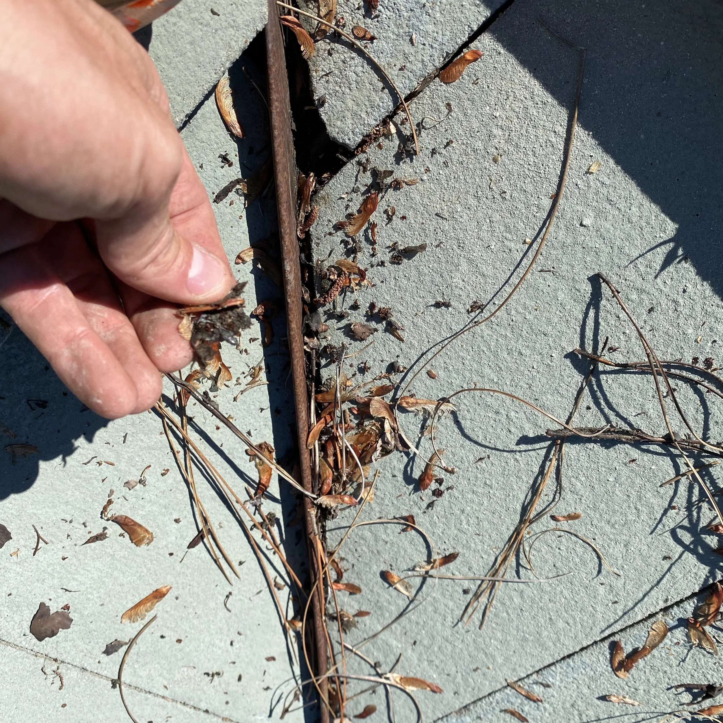 tile roof inspection in Windermere florida