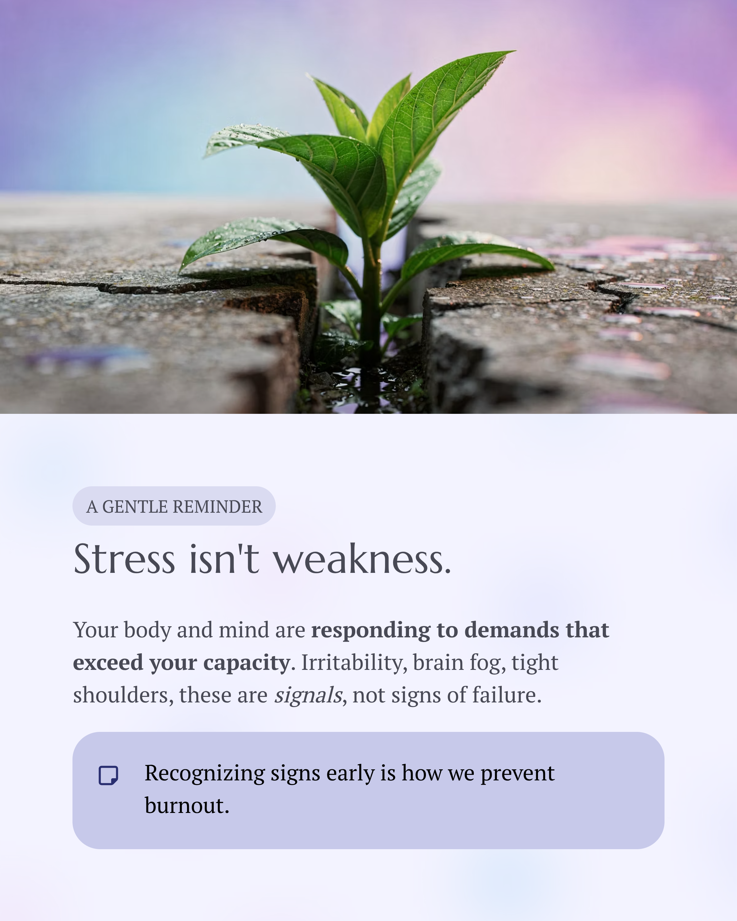 4_Stress-isnt-weakness.png