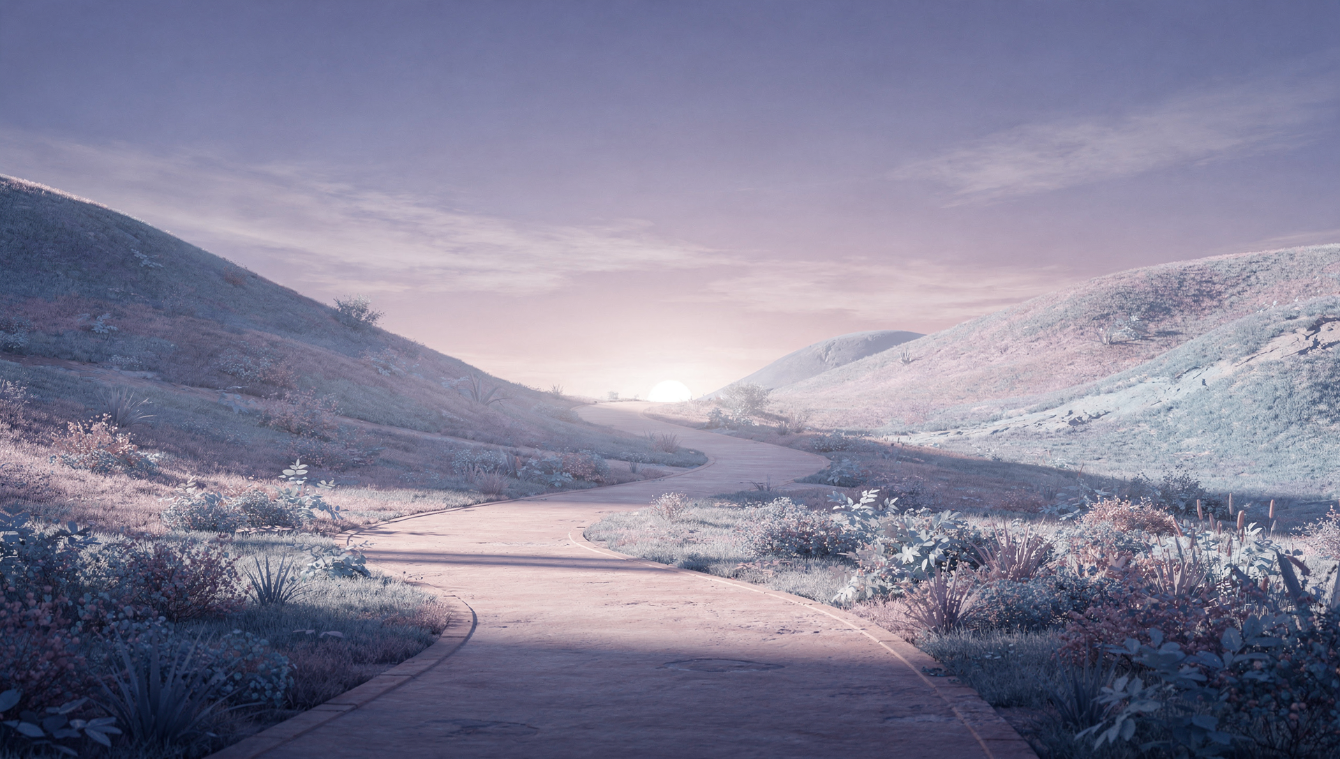 Finding Your Way Back