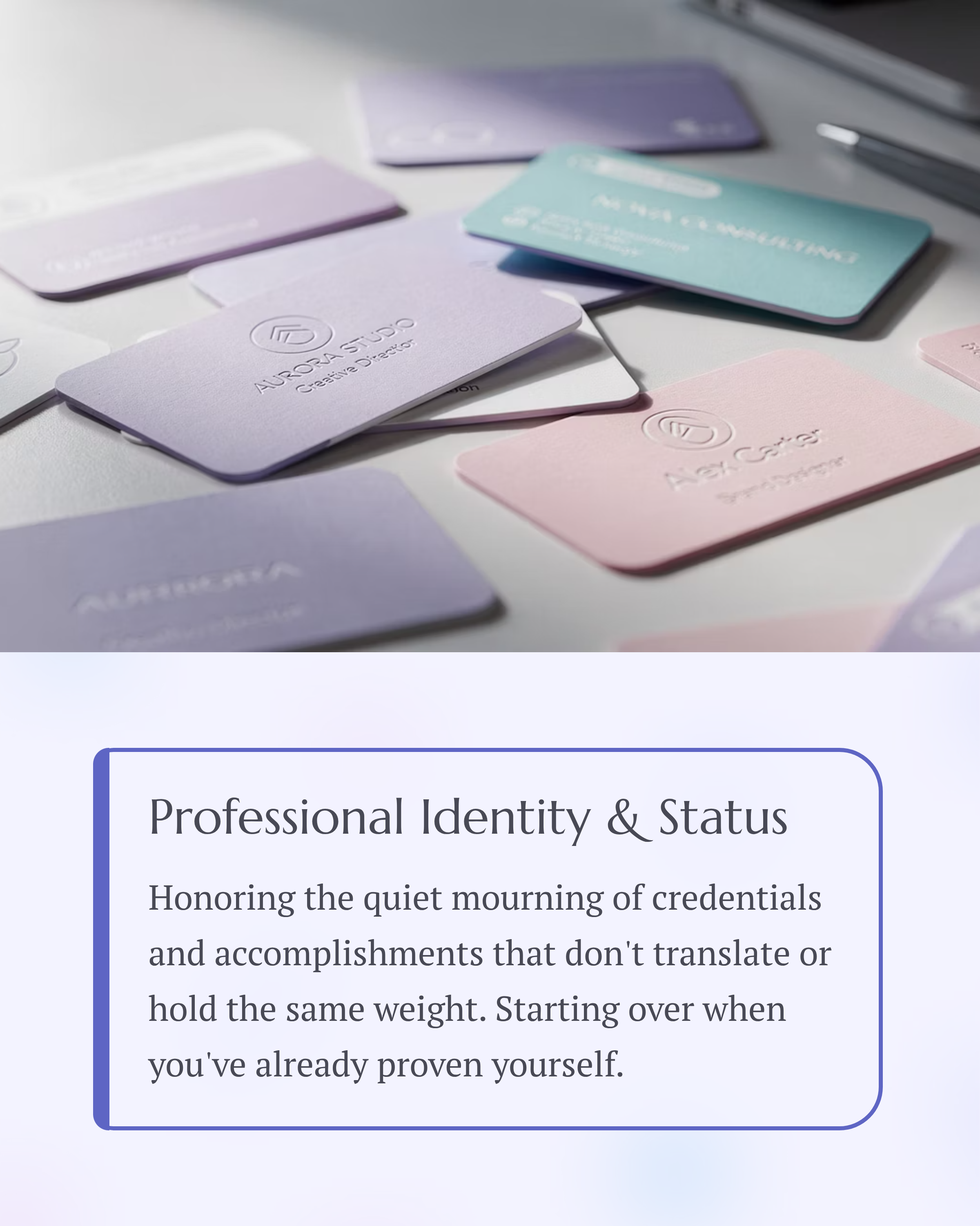 4_Professional-Identity-and-Status.png
