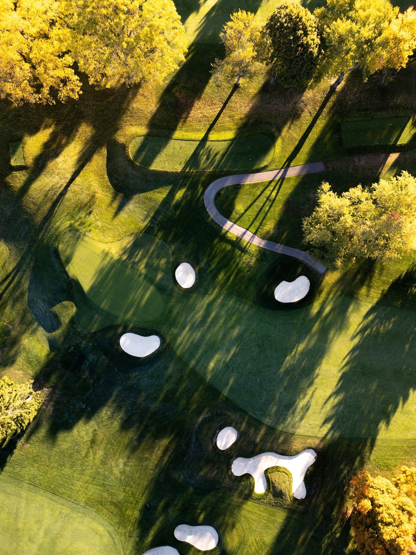 💛&hellip; golden leaves and long shadows, the kind of setting that makes every hole a picture.

#lookoutpointcc