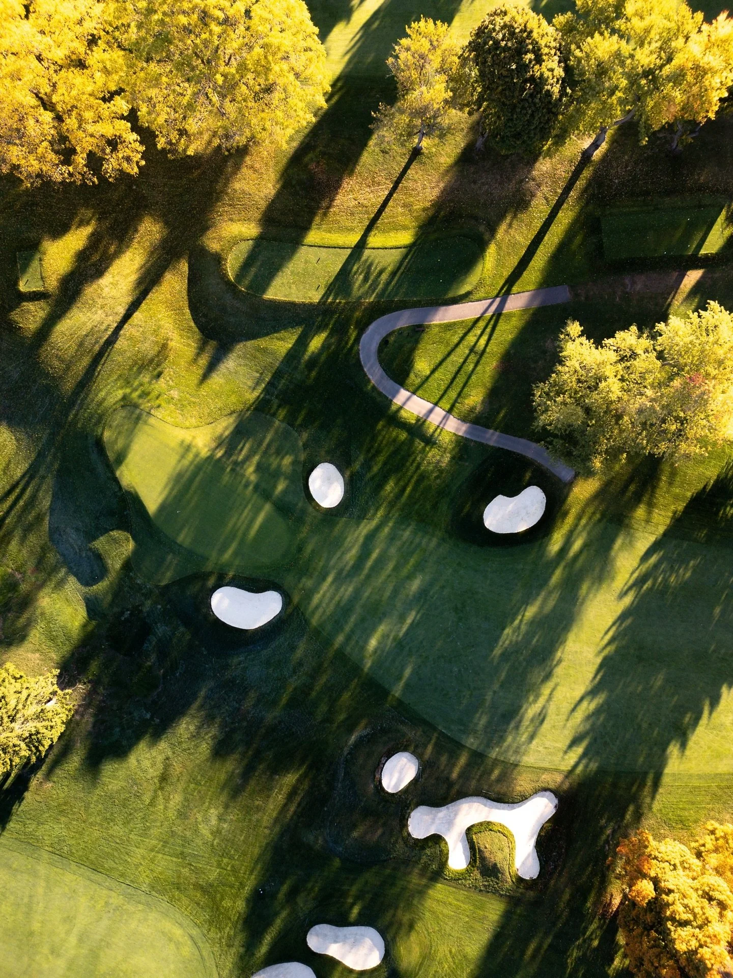 💛&hellip; golden leaves and long shadows, the kind of setting that makes every hole a picture.

#lookoutpointcc