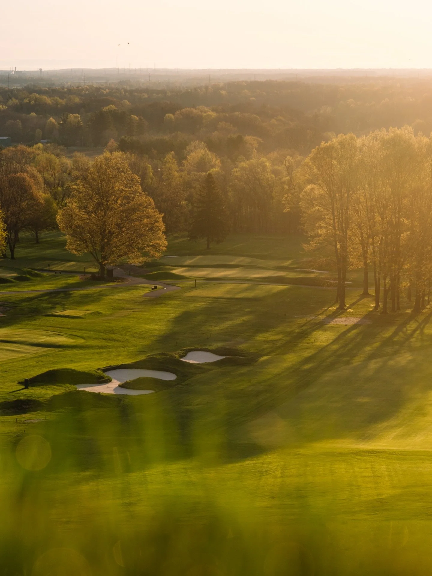 ☀️&hellip; chasing patches of sunshine, and the occasional birdie.

#lookoutpointcc