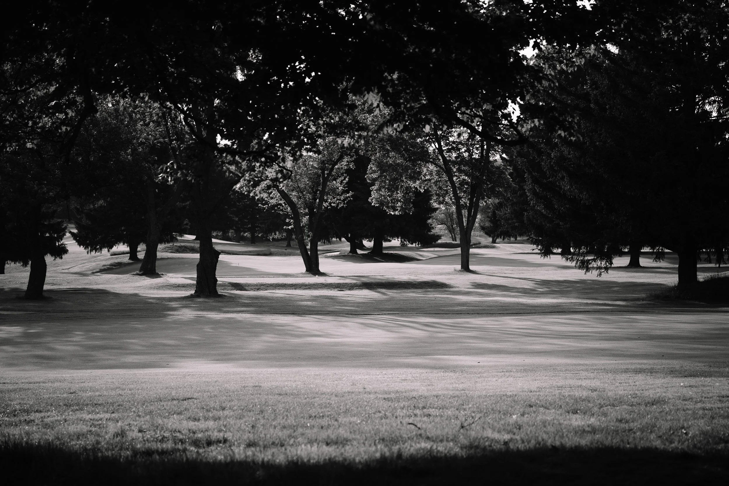 LPCC_2025_05_28-82.jpg