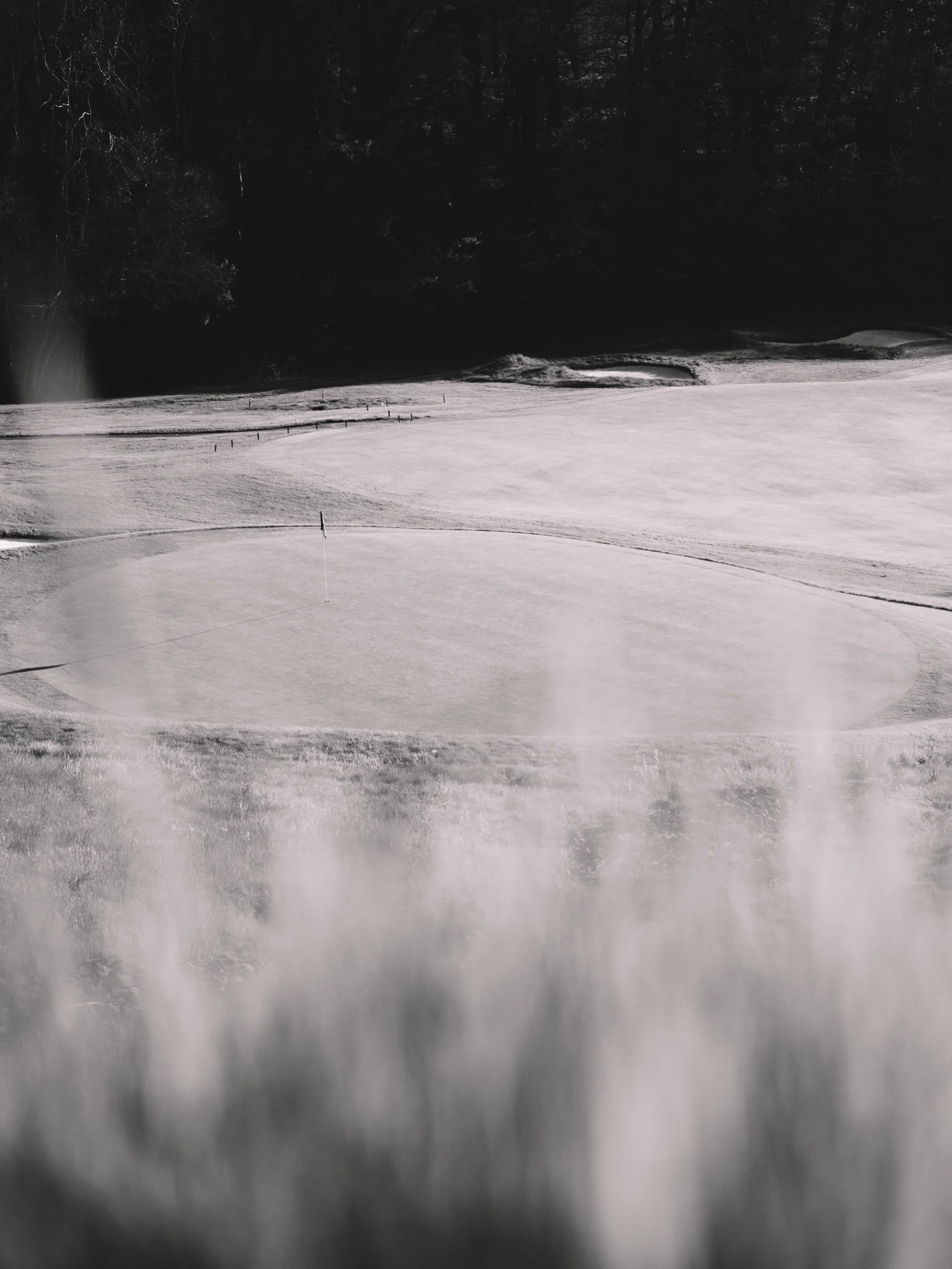 🔲&hellip; black and white because the skies have been grey.

#lookoutpointcc