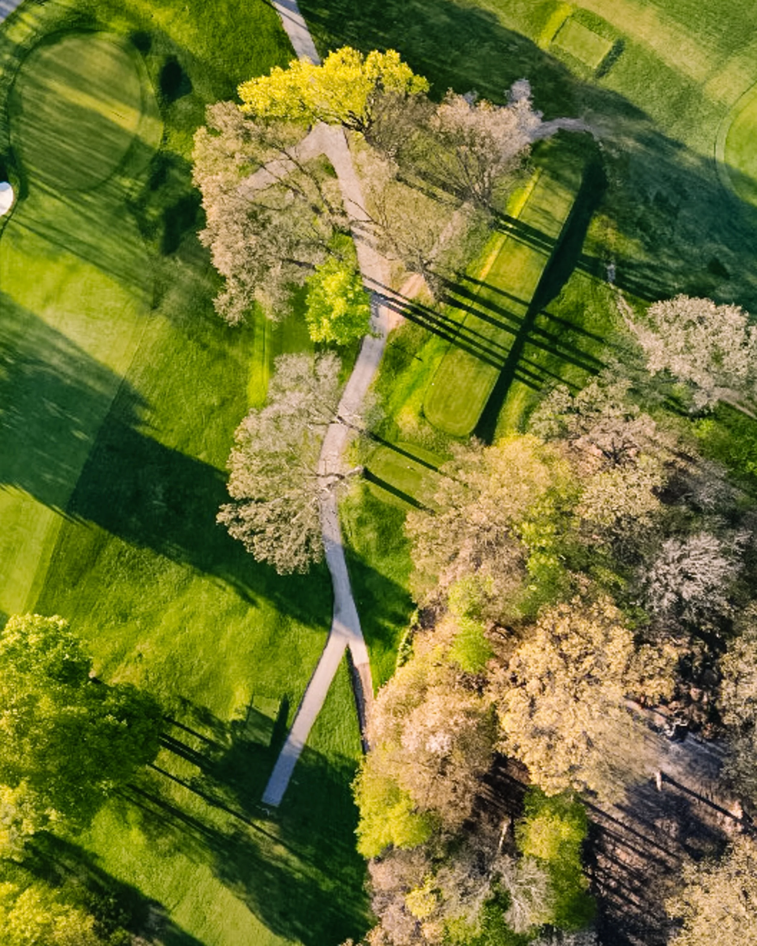 ☀️&hellip; chasing sunny Saturdays and enjoying them like it&rsquo;s our birthday.

#lookoutpointcc