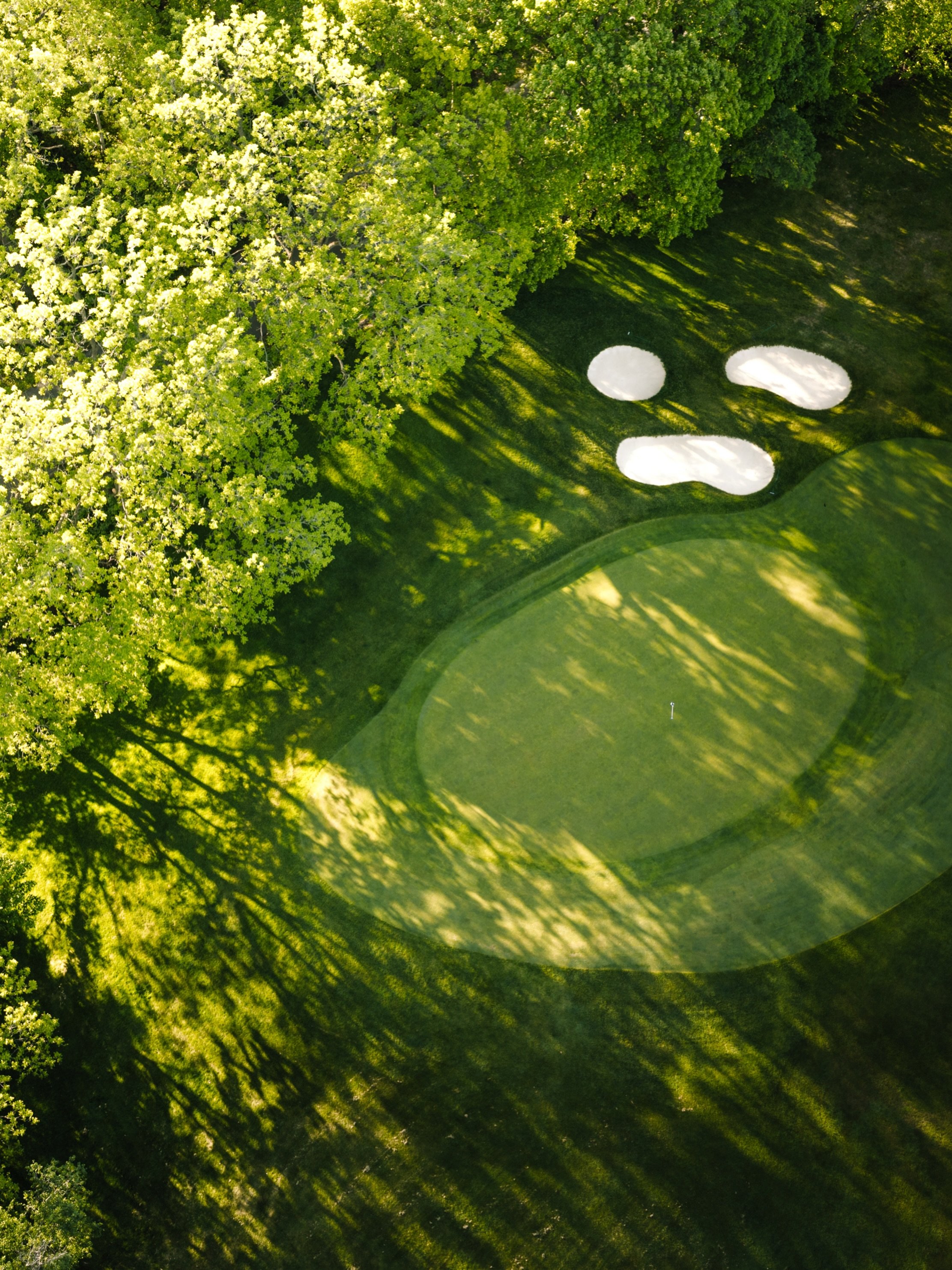 😦&hellip; up and down for birdie?

#lookoutpointcc