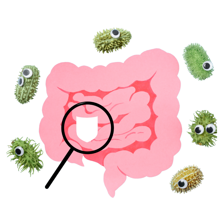 Illustration of a human intestine with cartoon germs around it, some with googly eyes.