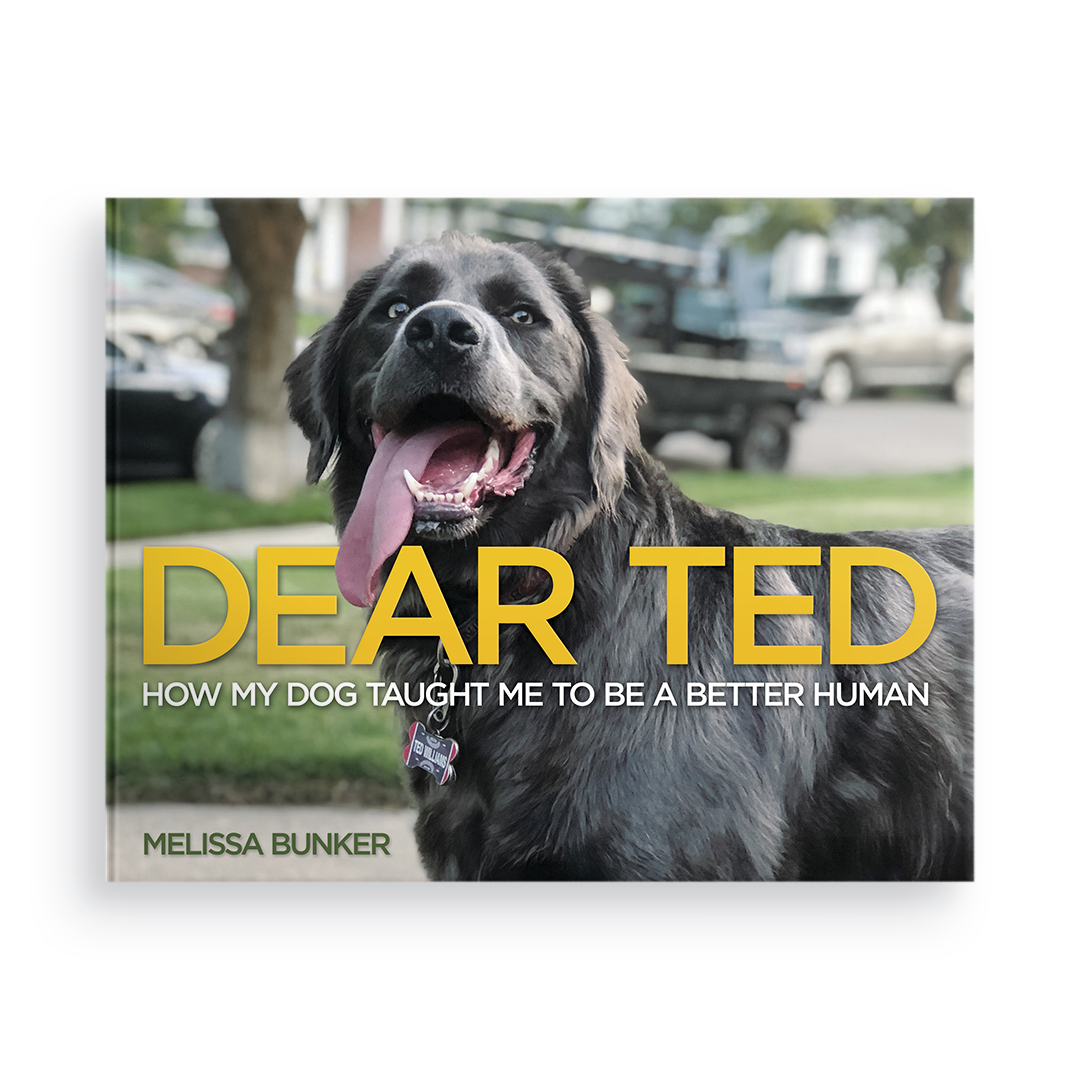 Dear Ted