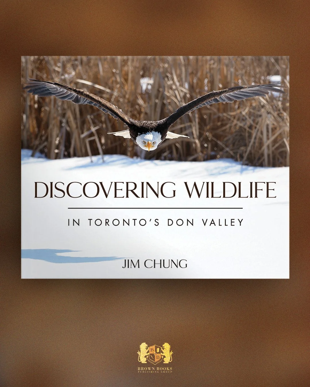 e&rsquo;re thrilled to celebrate Discovering Wildlife in Toronto&rsquo;s Don Valley by Jim Chung, featured last month on @thegoodstuffctv with Mary Berg! 

Right in the heart of Toronto, where the East and West branches of the Don River meet, lies a 
