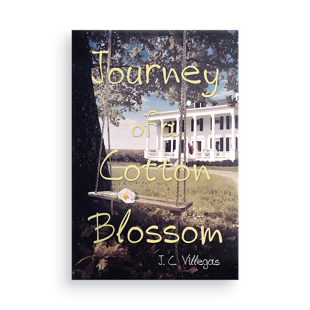 Journey of a Cotton Blossom