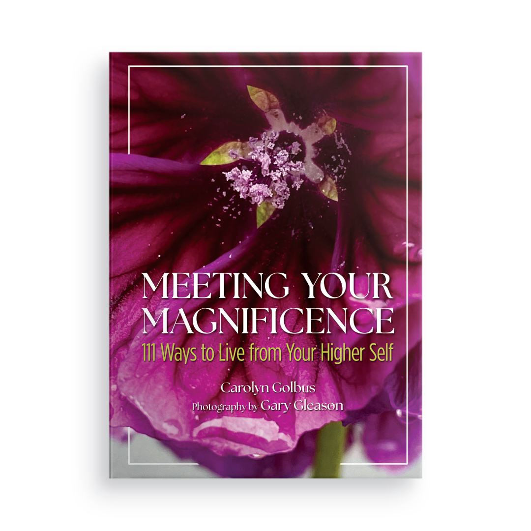 Meeting Your Magnificence: 111 Ways to Live from Your Higher Self