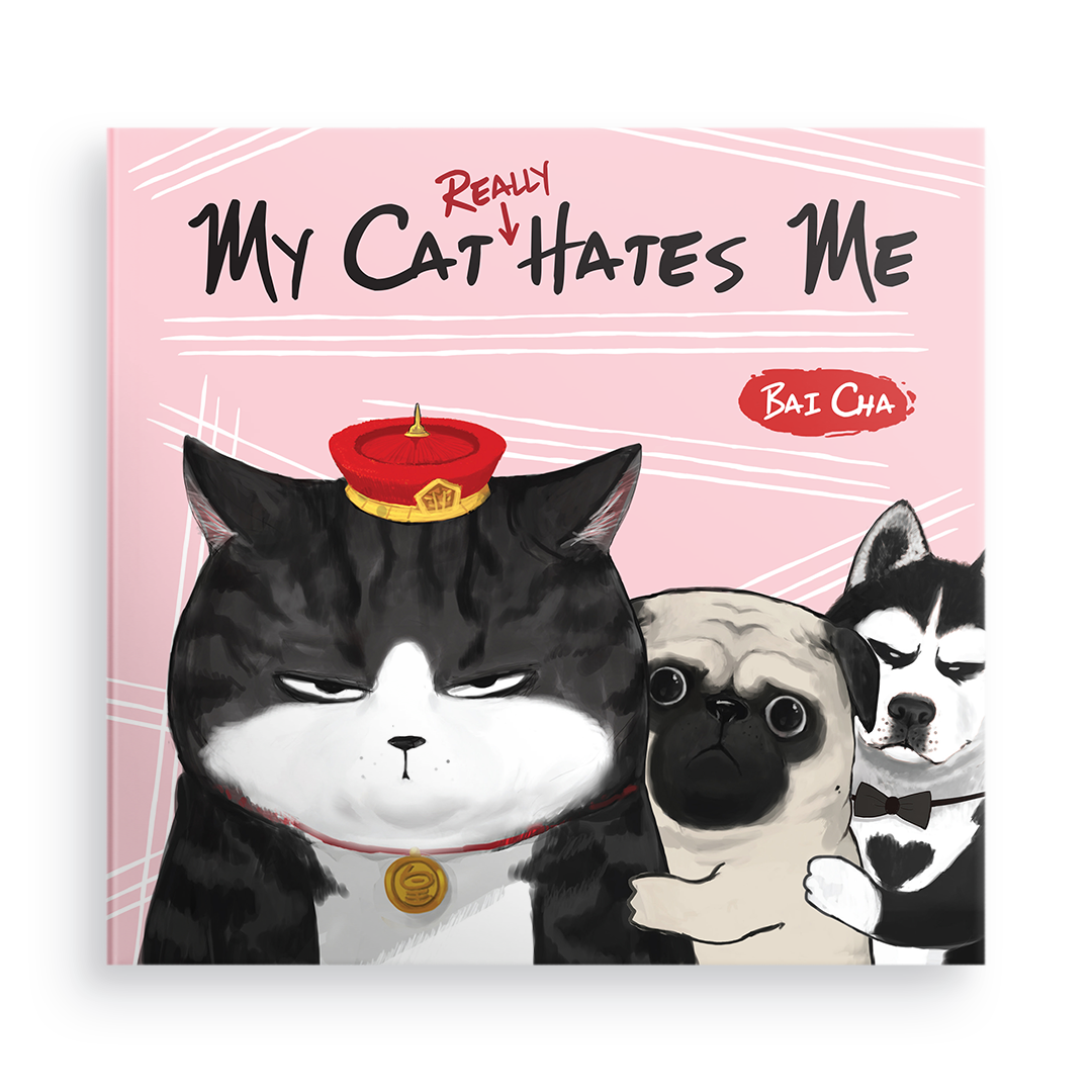 My Cat Really Hates Me