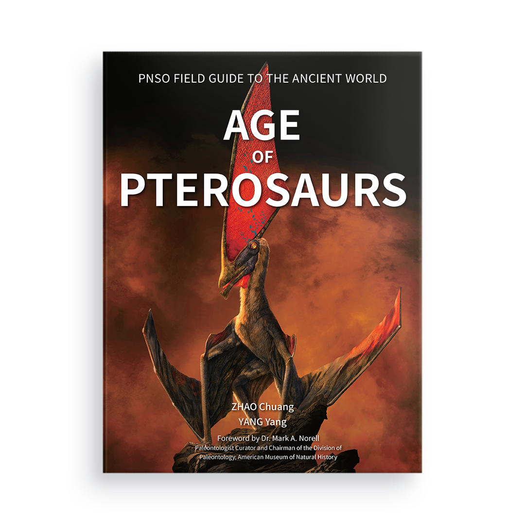 Age of Pterosaurs