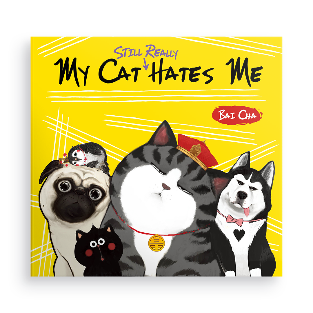 My Cat Still Really Hates Me