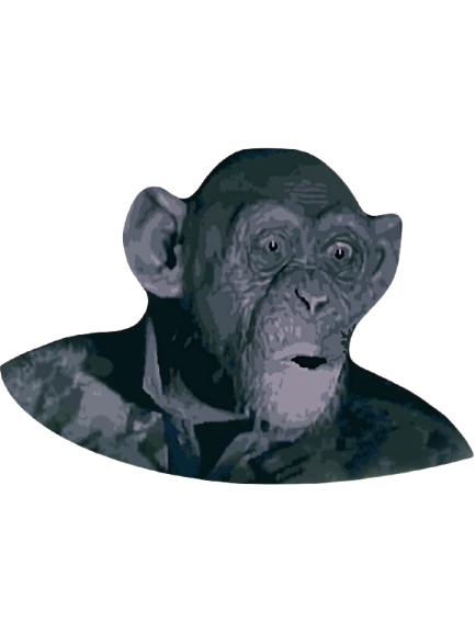 A shocked chimpanzee with mouth open, dark background