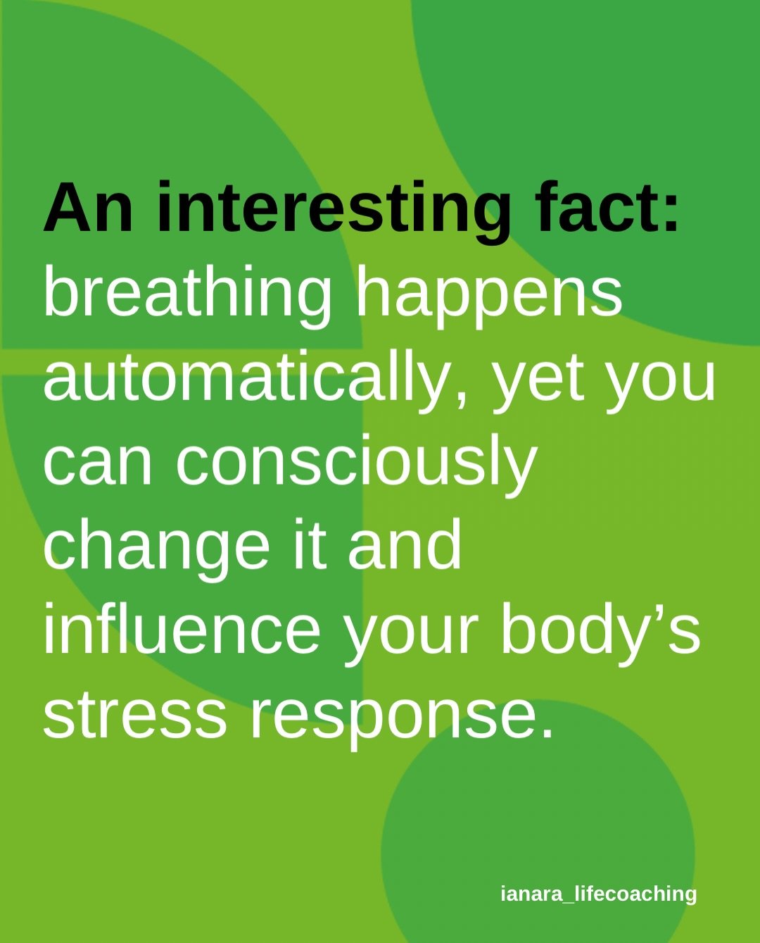Your breath happens automatically.
Yet it&rsquo;s also something you can consciously influence.

That makes it a practical starting point for nervous system regulation: slow, comfortable breathing can help ease the body&rsquo;s stress response.

You 