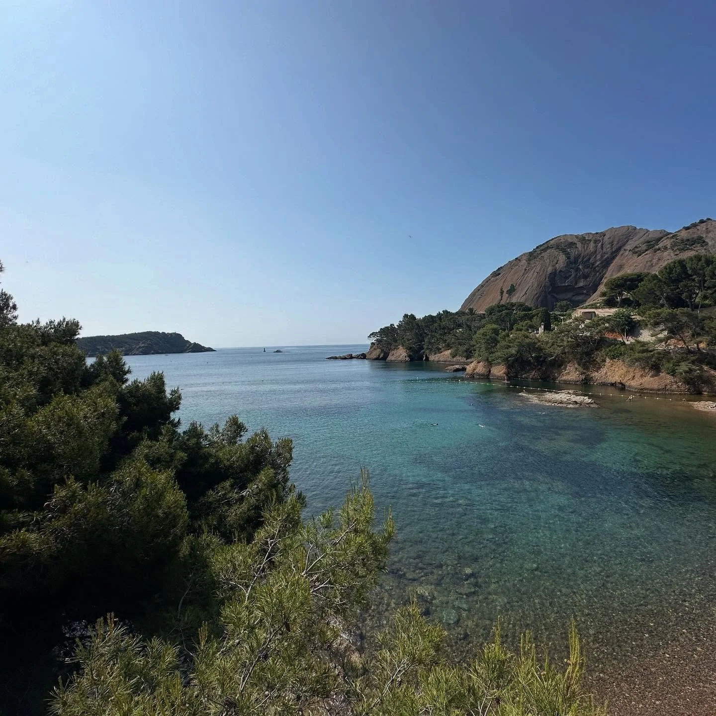Une envie de baignade avec cette chaleur 🥵