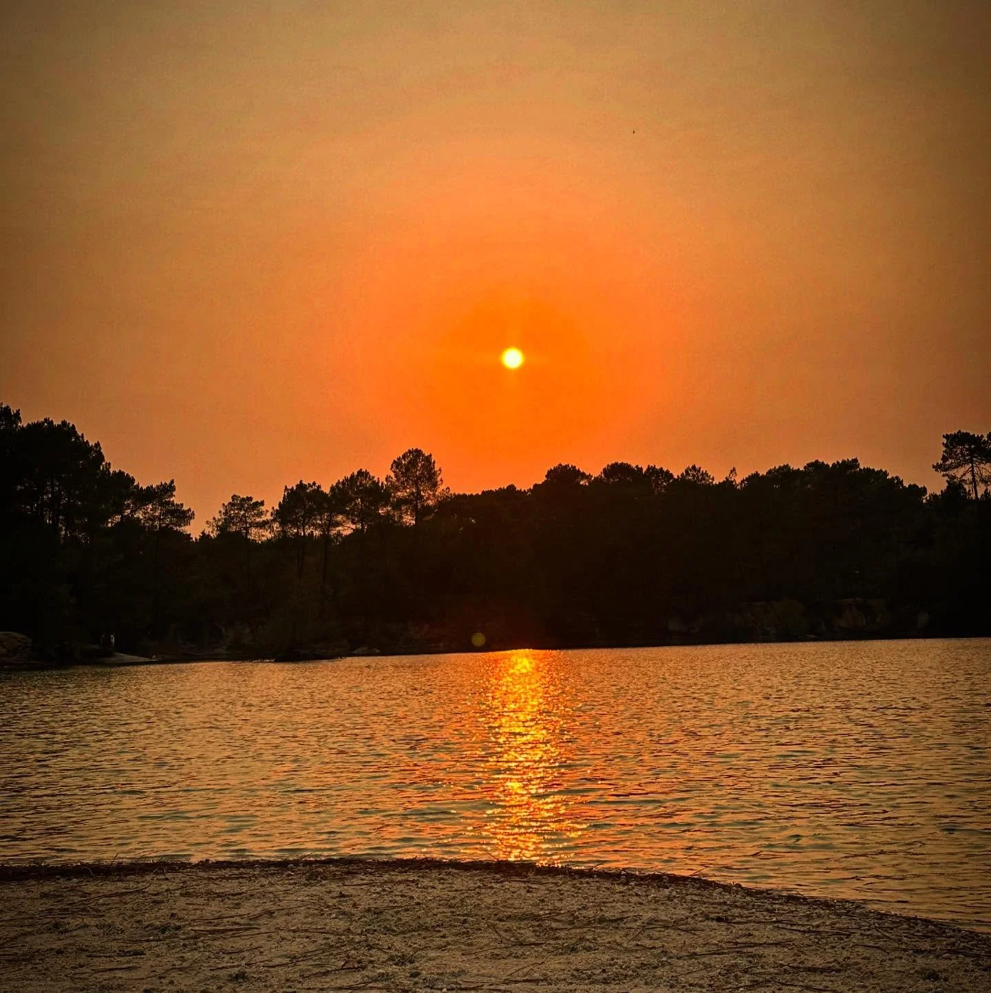 &ldquo;Le soleil couchant est souvent beau. Seulement le cr&eacute;puscule est trop pr&egrave;s de lui !&rdquo;