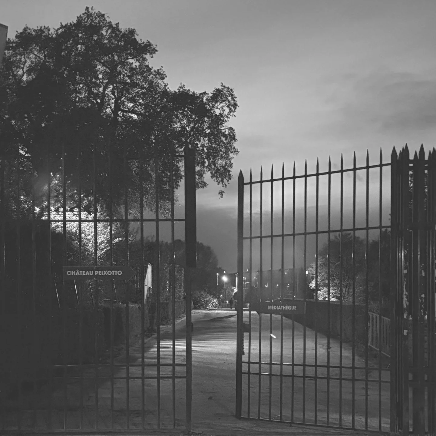 Le soir d&rsquo;Halloween 🎃 &amp; Canards en journ&eacute;e 🦆