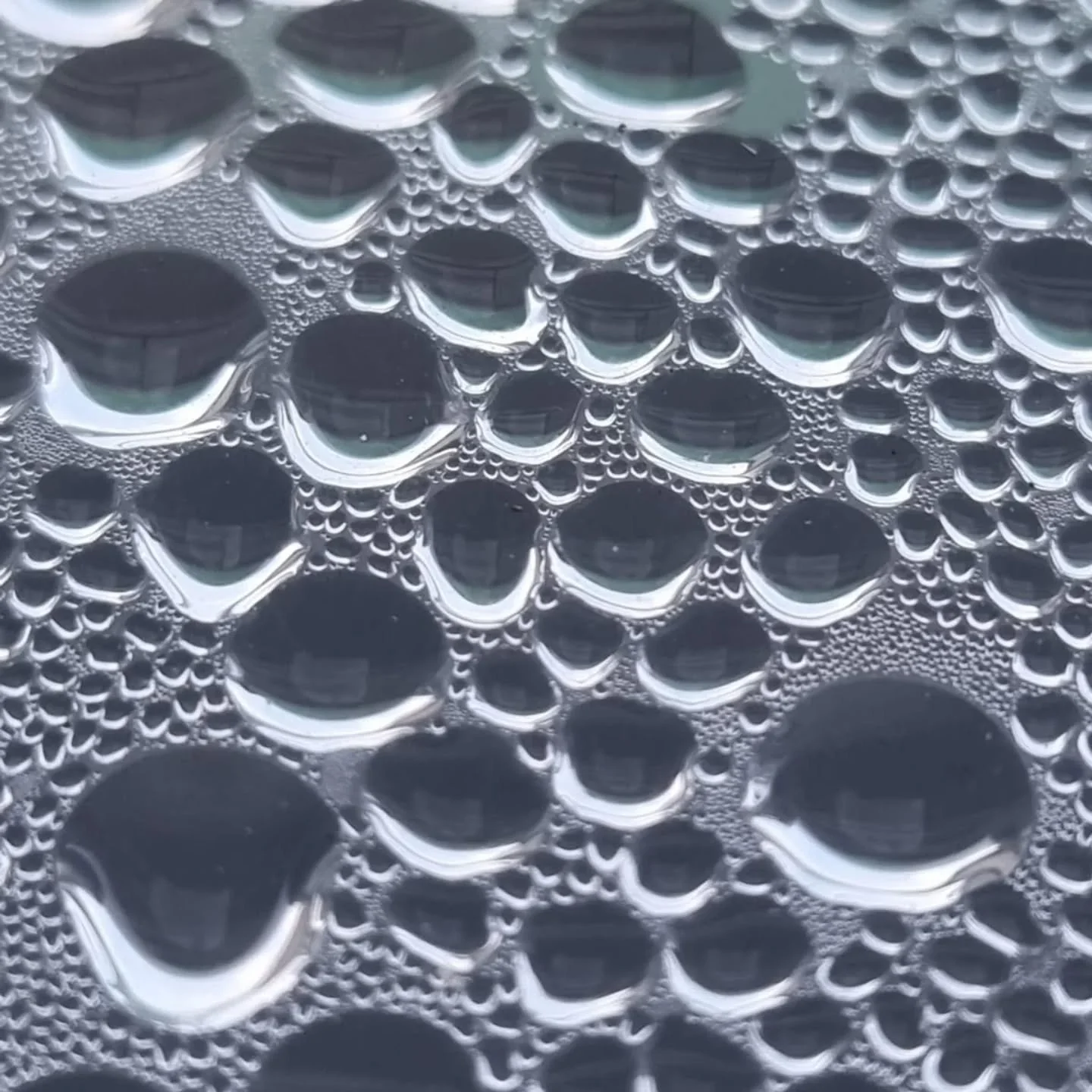 Proposition par @pilarrozados 
Des perles d'eau 💦- Le souffle de la chance 🍀 - le pistil 🌻