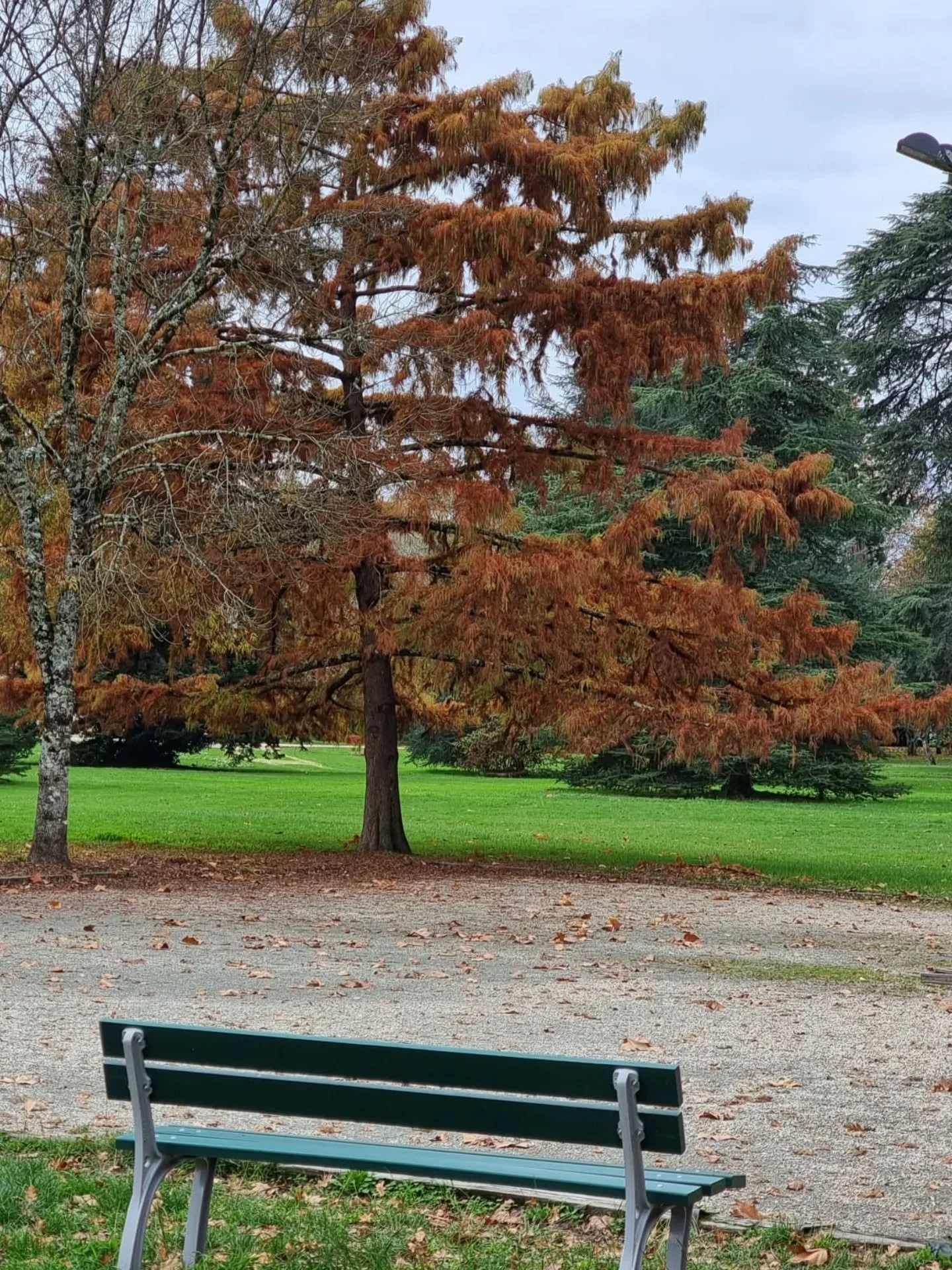 Le banc des saisons 🍂 par @pilarrozados 📷