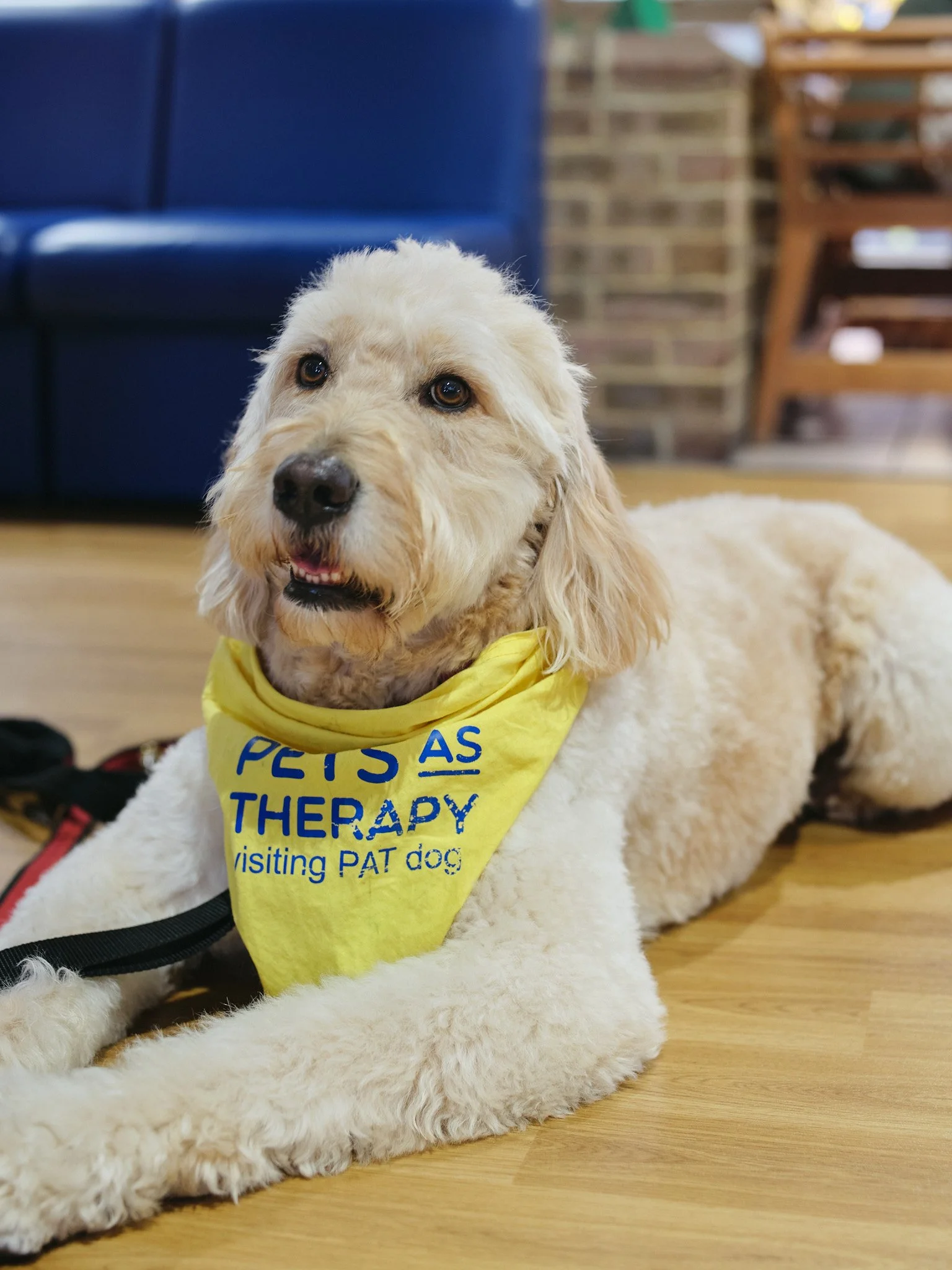 Ryan Prince_Crafternoon Images_Lo Res_070.jpg