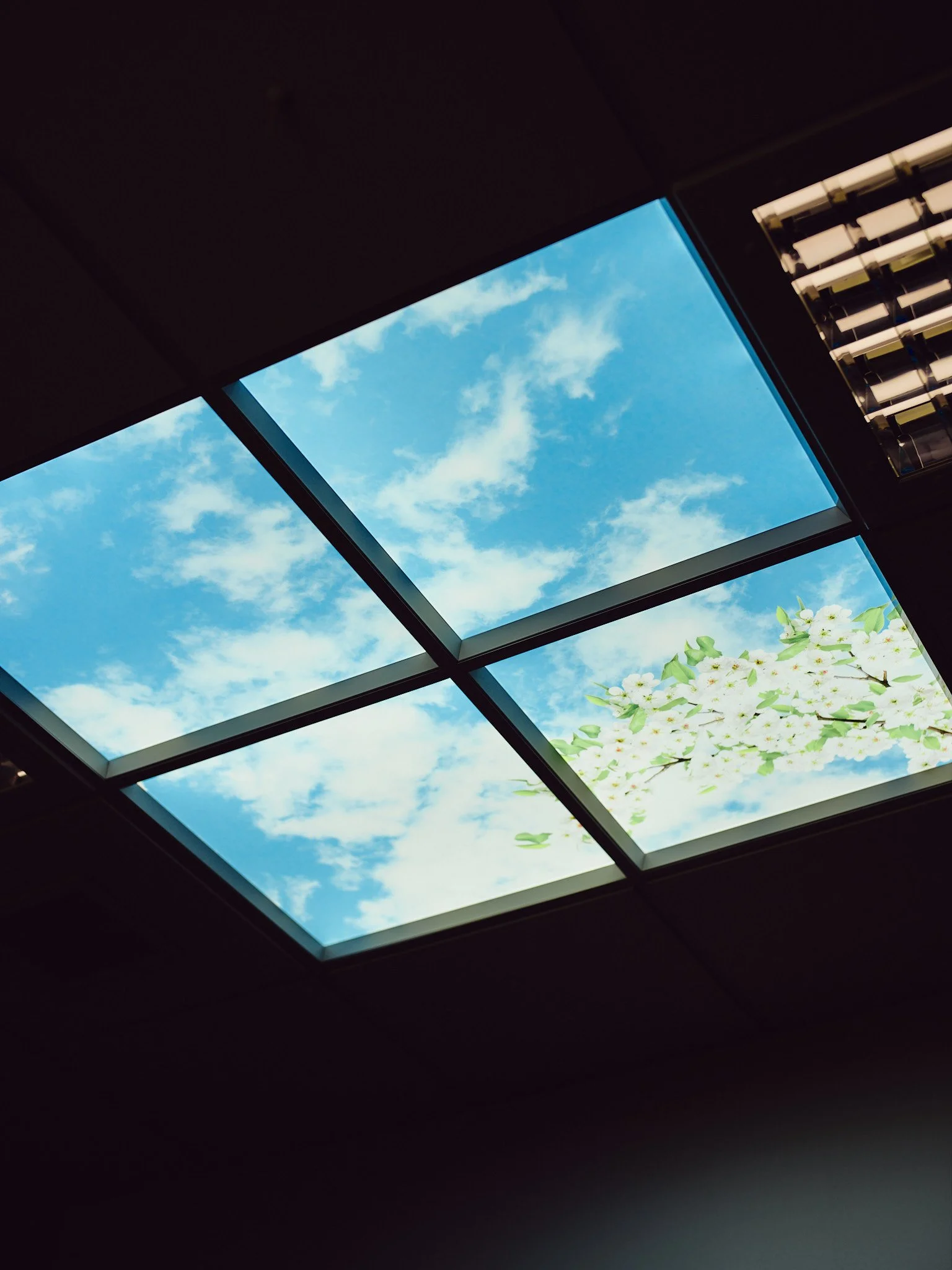 Ryan Prince_Crafternoon Images_Lo Res_009.jpg